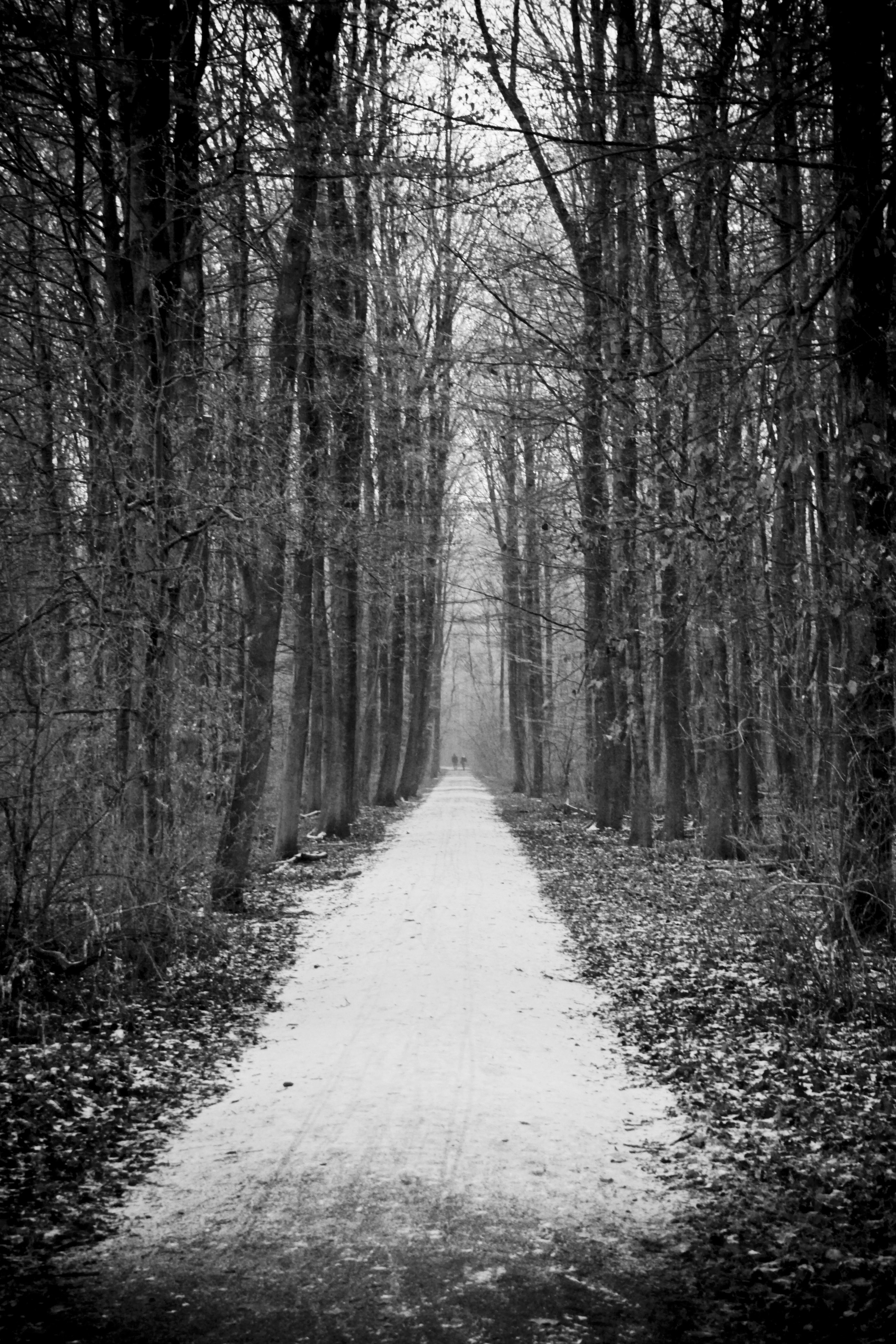 de-poel-amstelveen-1