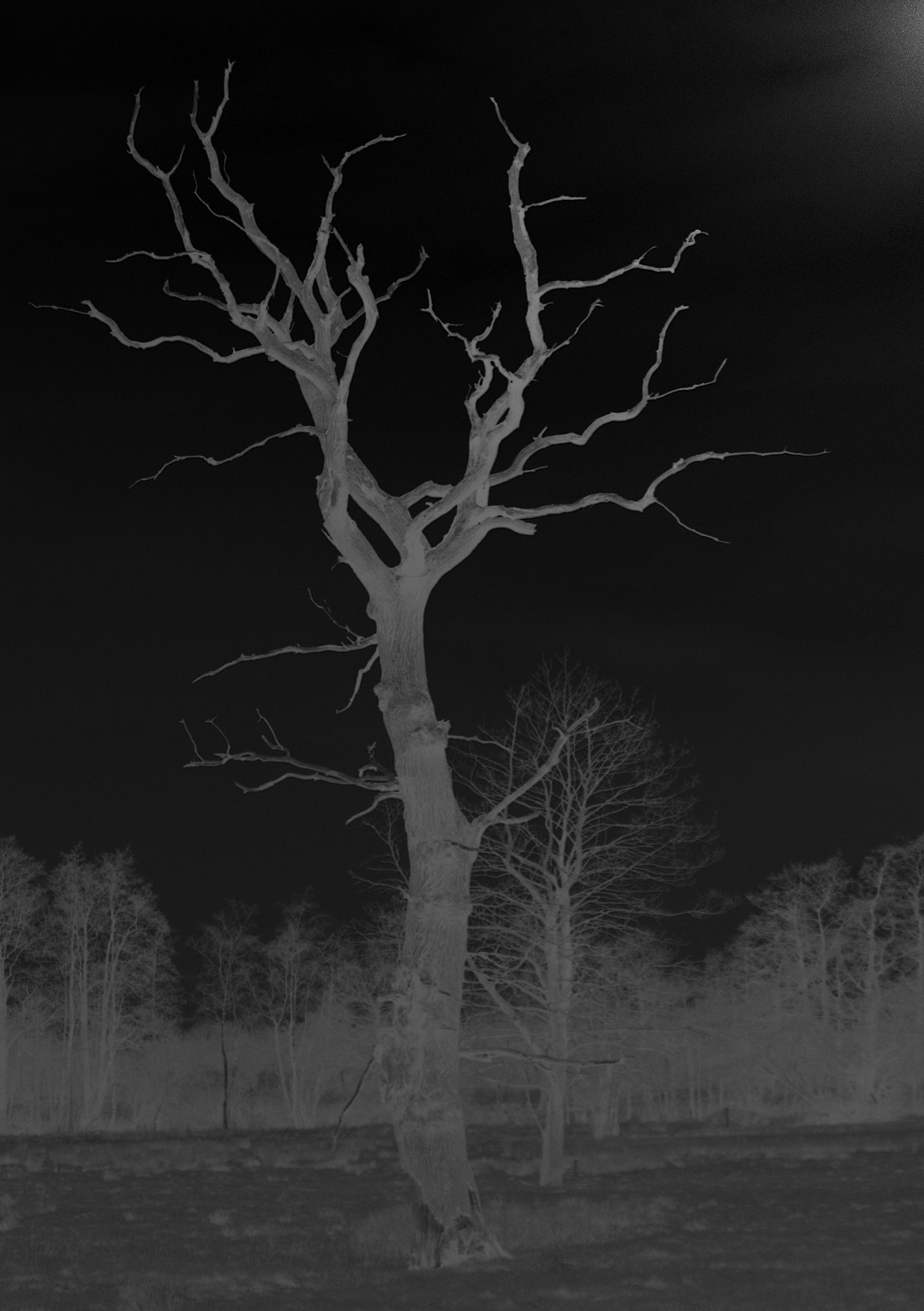 tod-schwarz-und-weiss