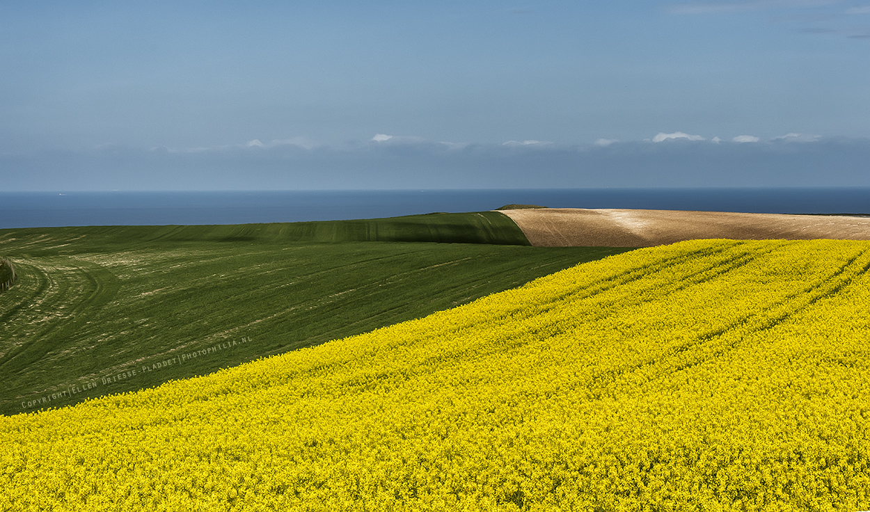 golvend-landschap-in-de-picardie