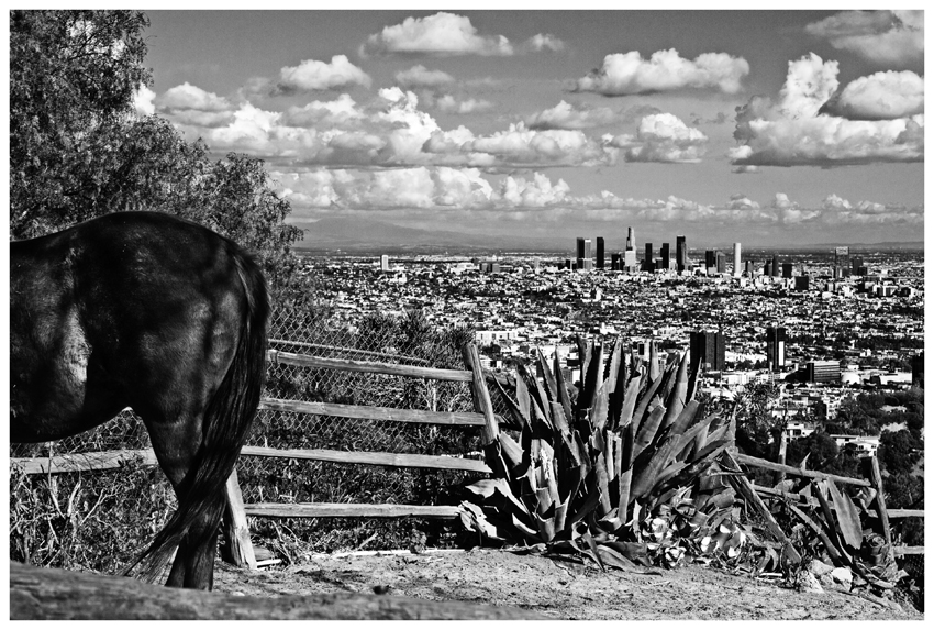 the-road-to-mulholland-drive