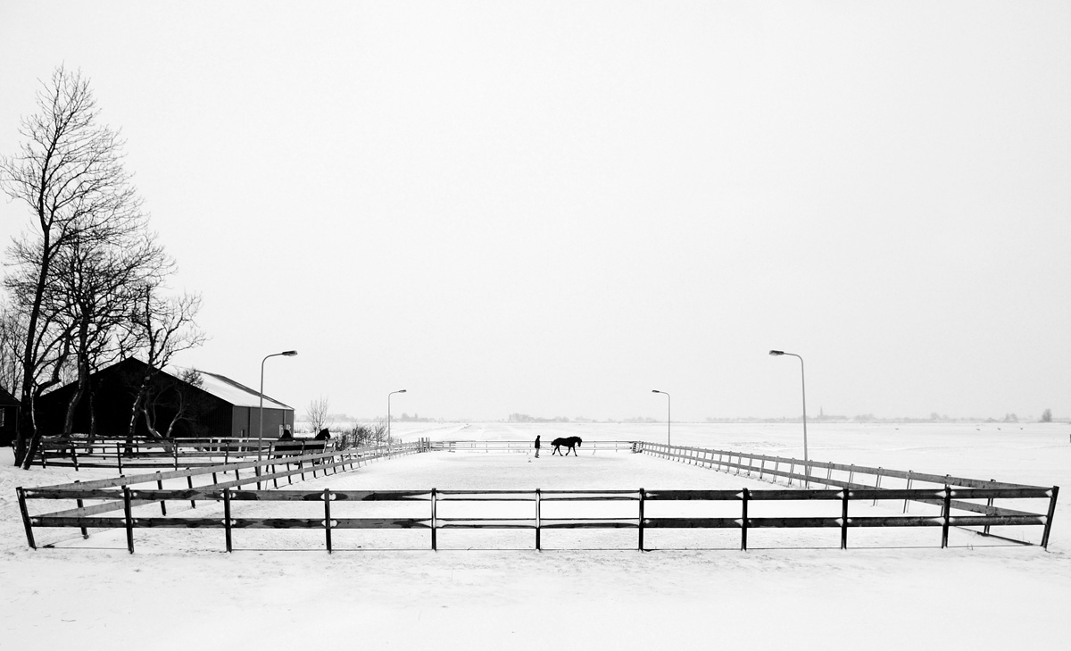 winter-in-friesland-wolsum