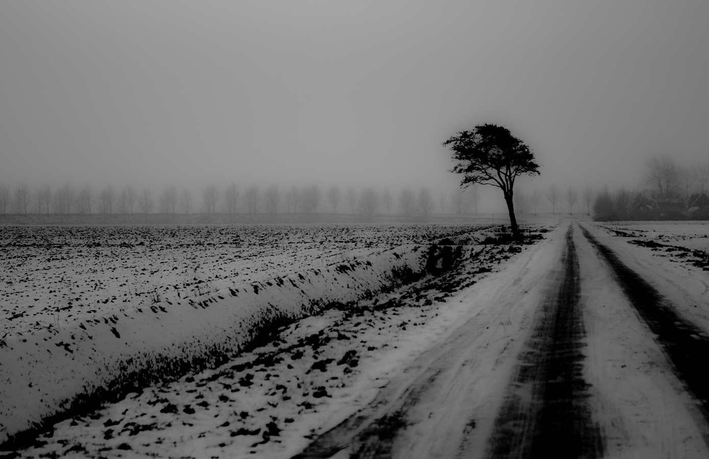 winterse-polder-landschap
