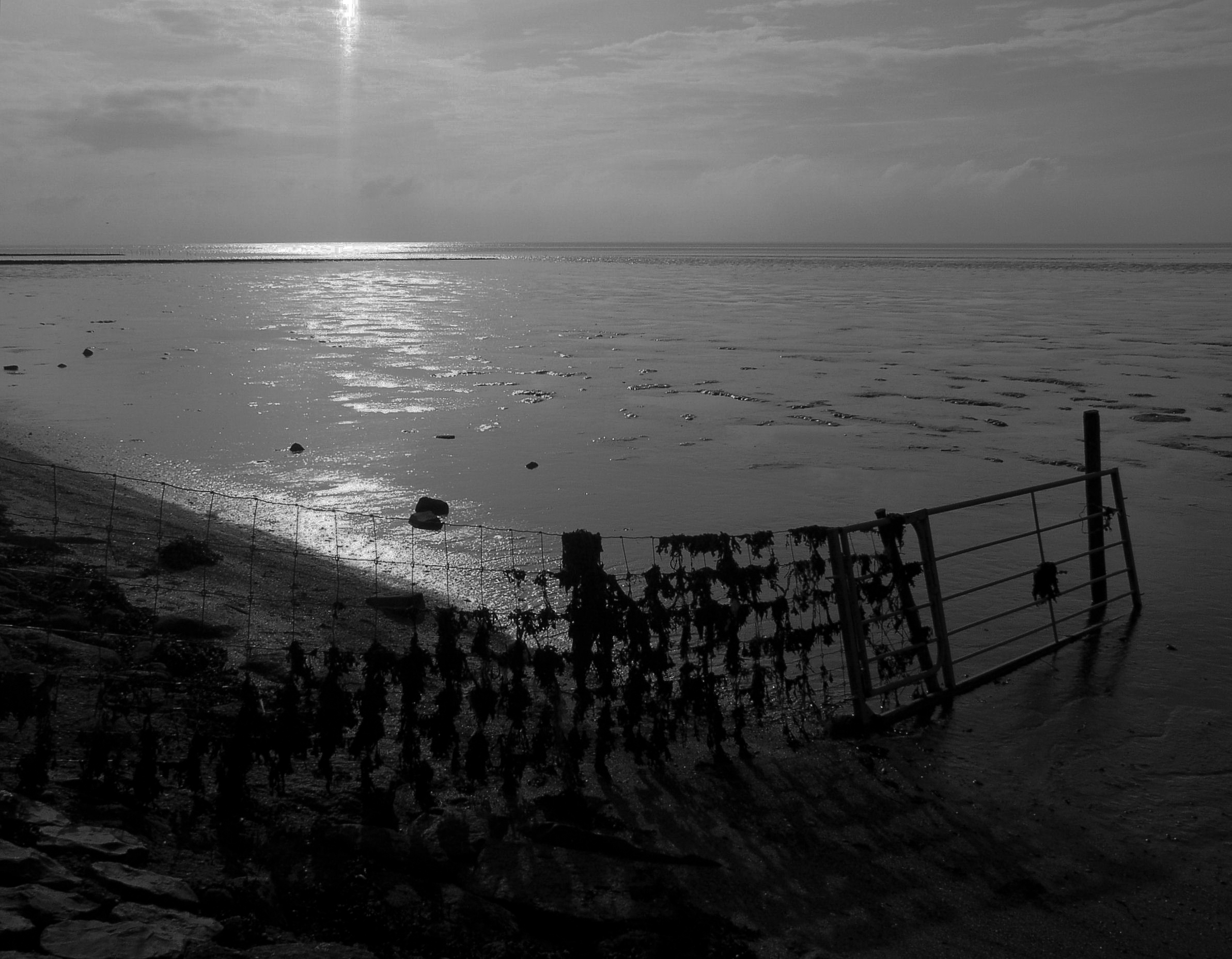 wadden-2