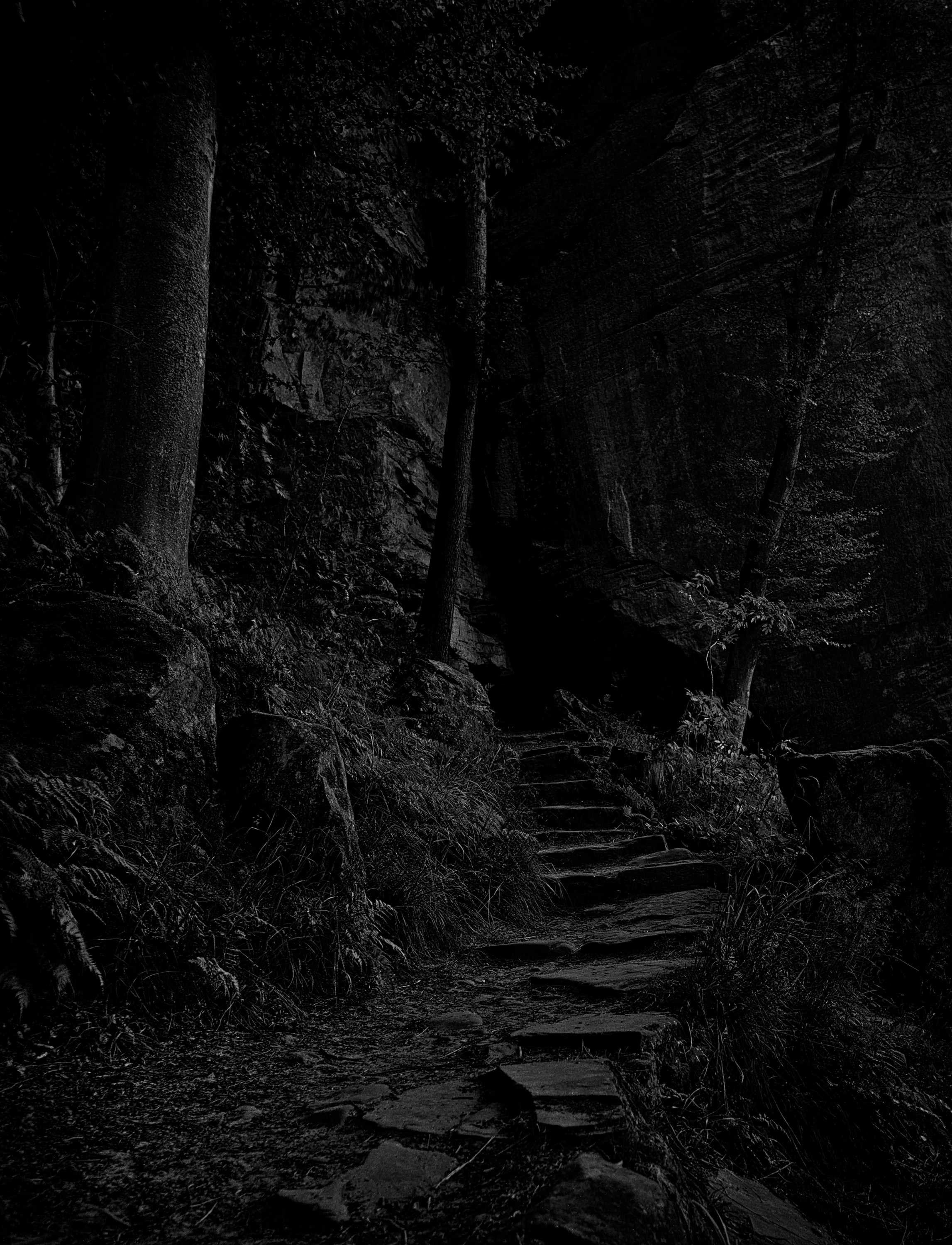 pad-naar-het-onbekende