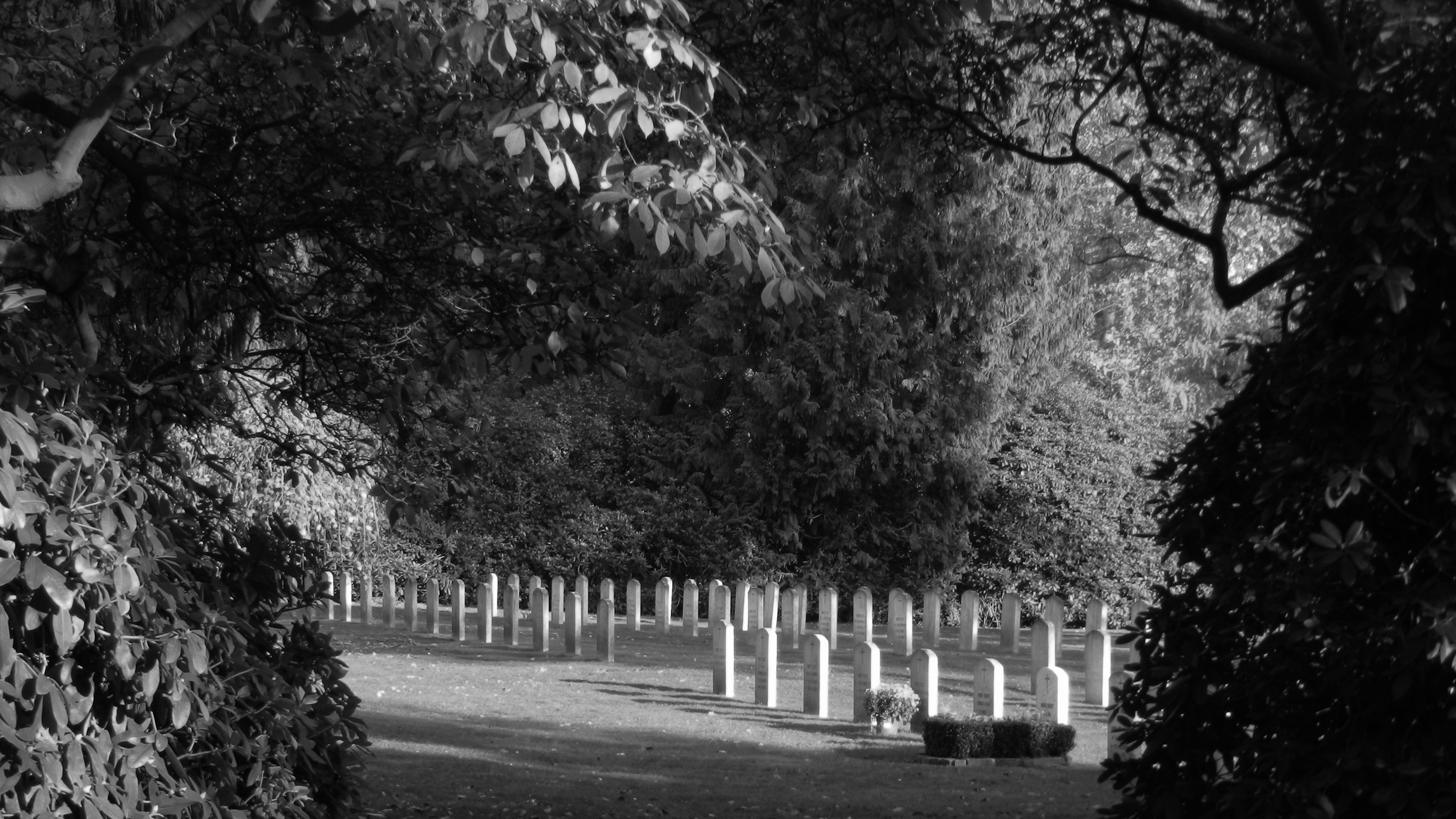 rustplaats-in-het-licht