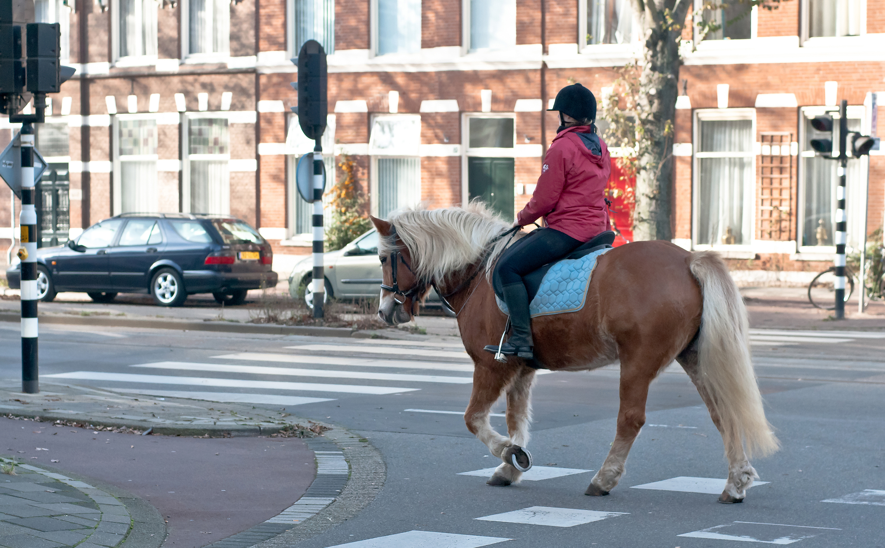 milieuverantwoord-vervoer