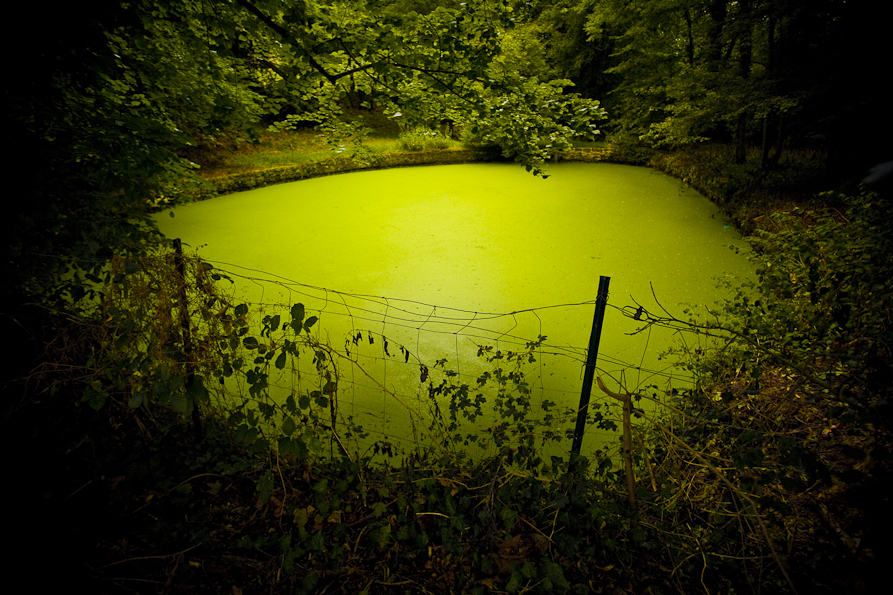 green-pond