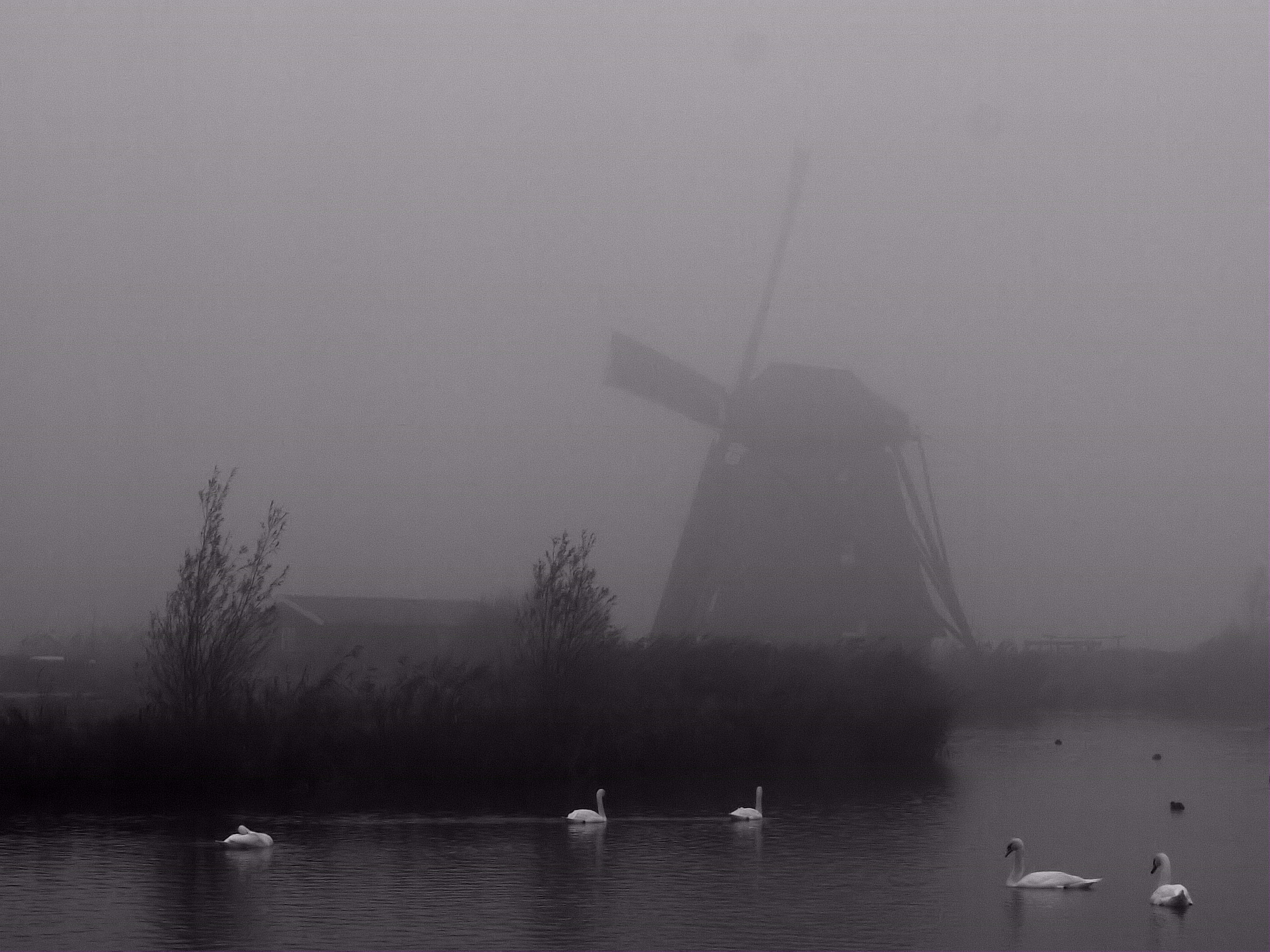 molen-in-de-mist-4