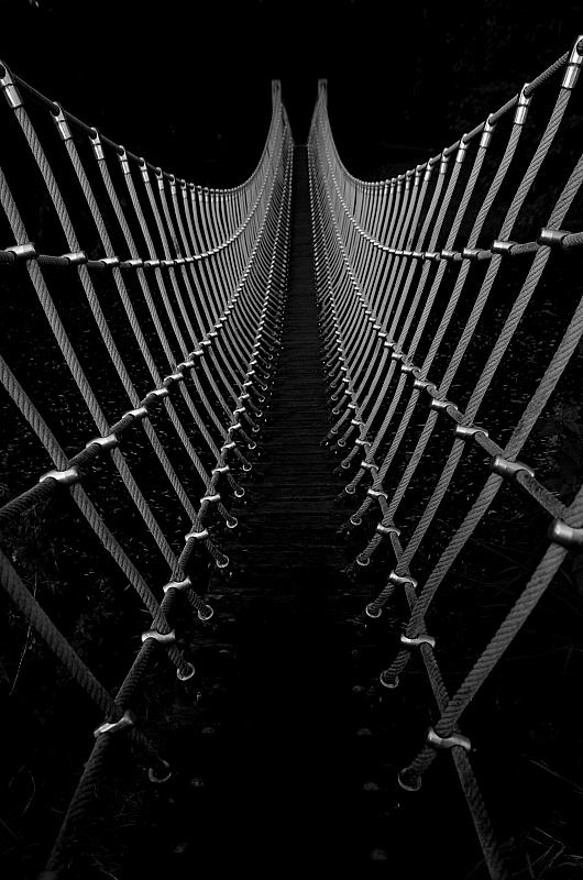 in-de-spotlight-webbed-van-elwin-blokdijk