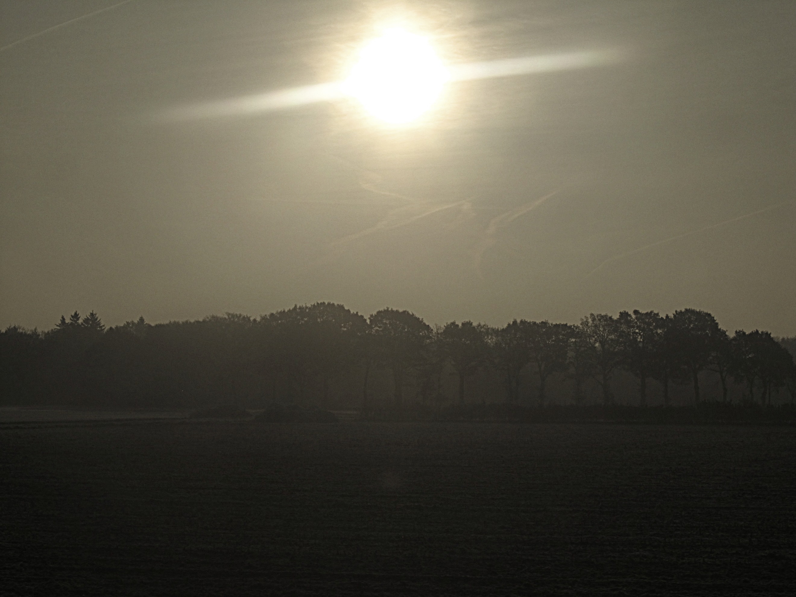 sun-is-shining-black-white