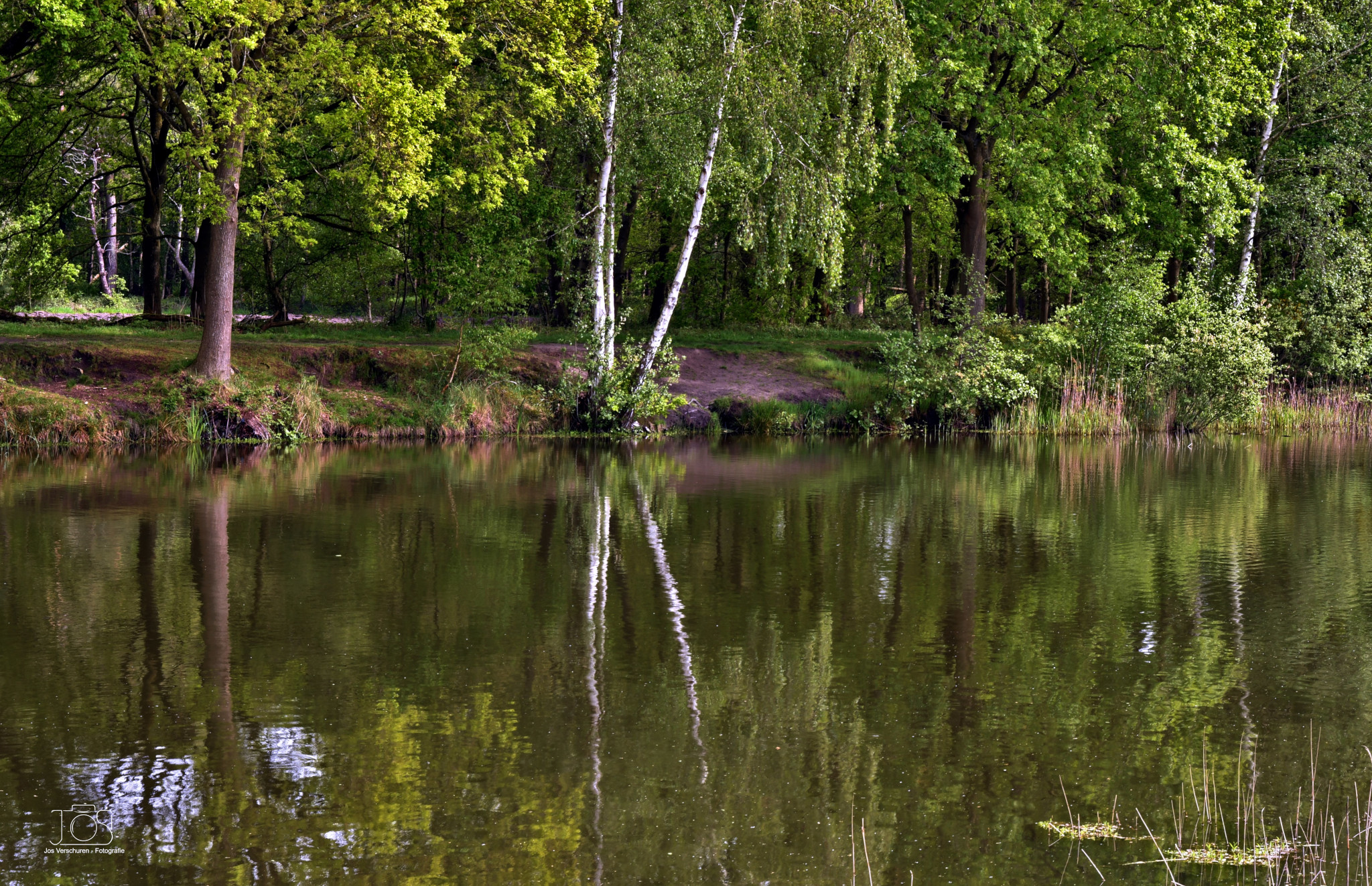 spiegeling-in-het-water