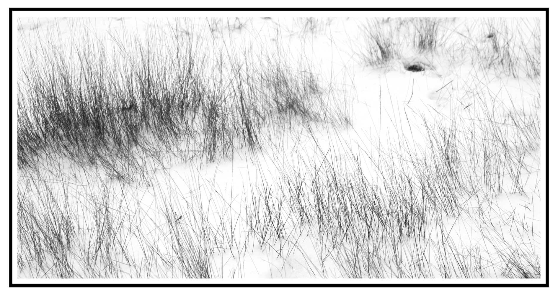 soesterduinen-in-de-sneeuw