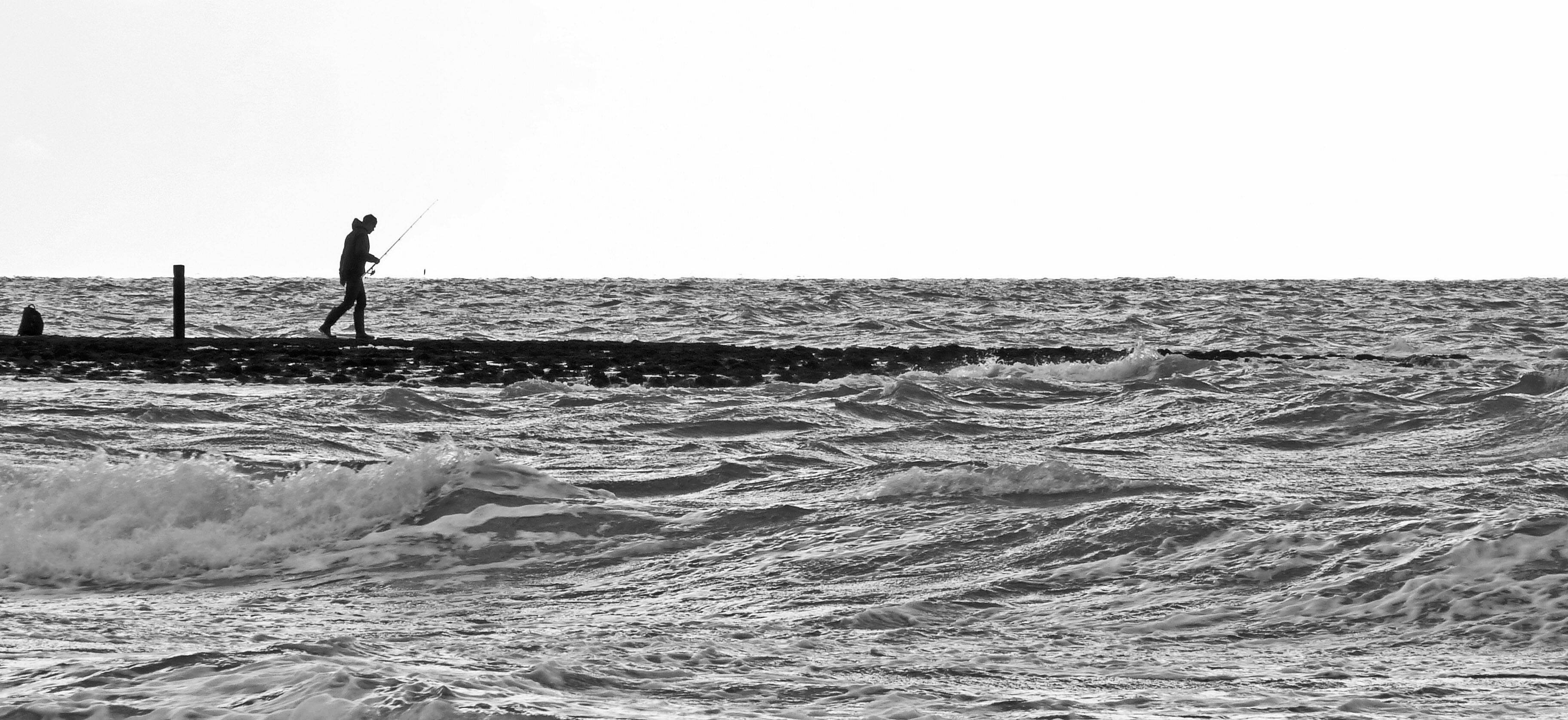 eenzame-visser-2