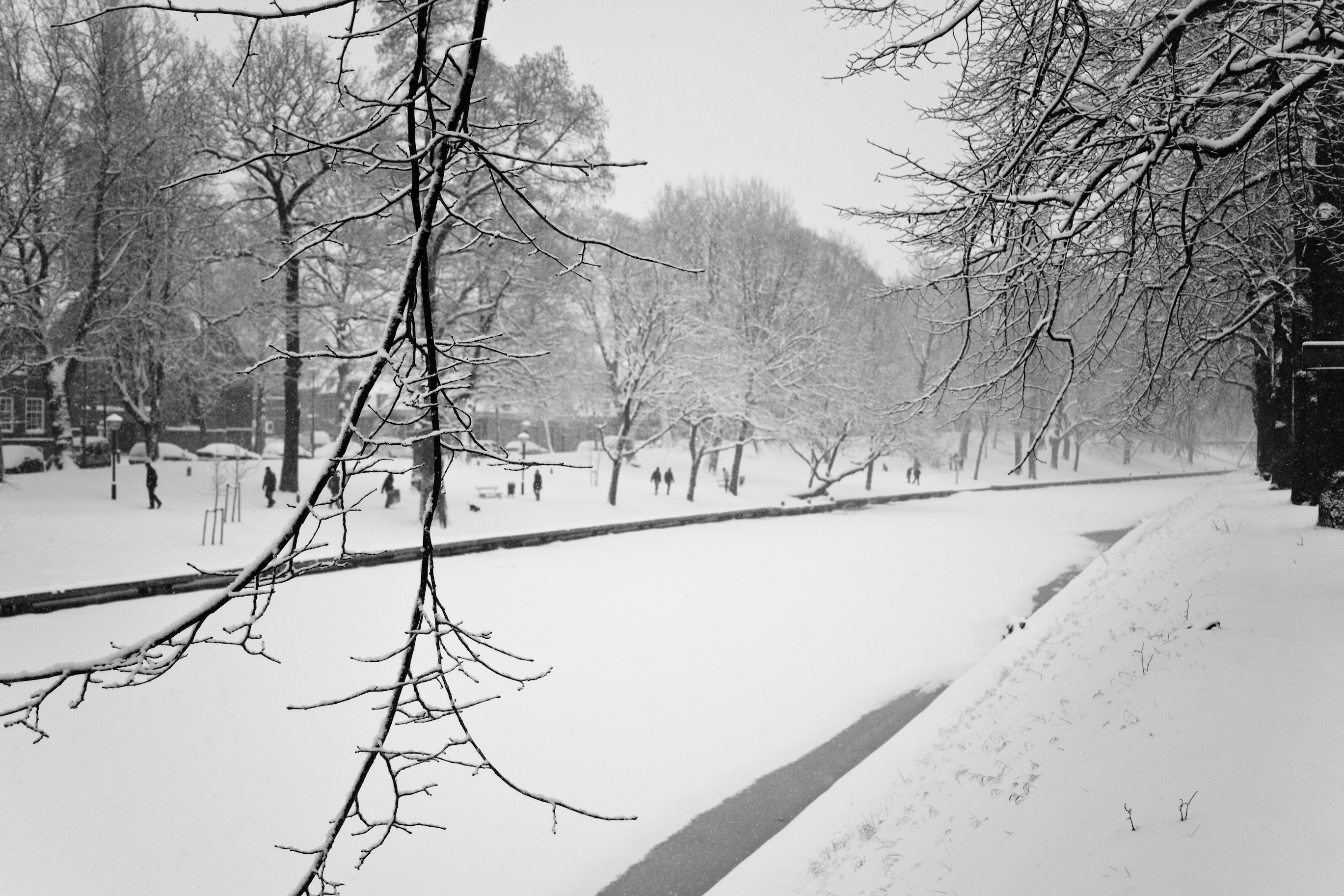 winter-wonder-land-2