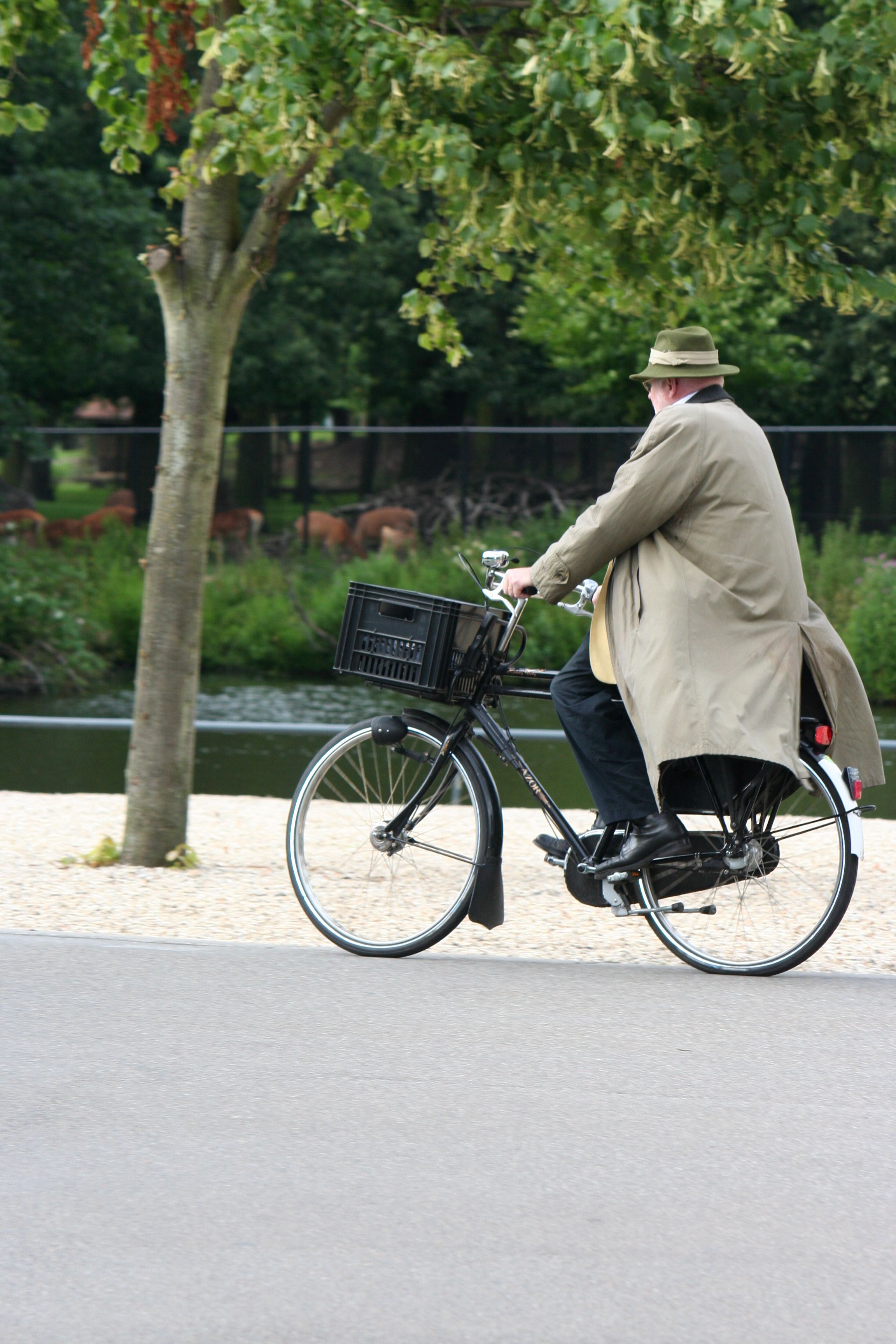 hij-past-zo-mooi-bij-zijn-omgeving