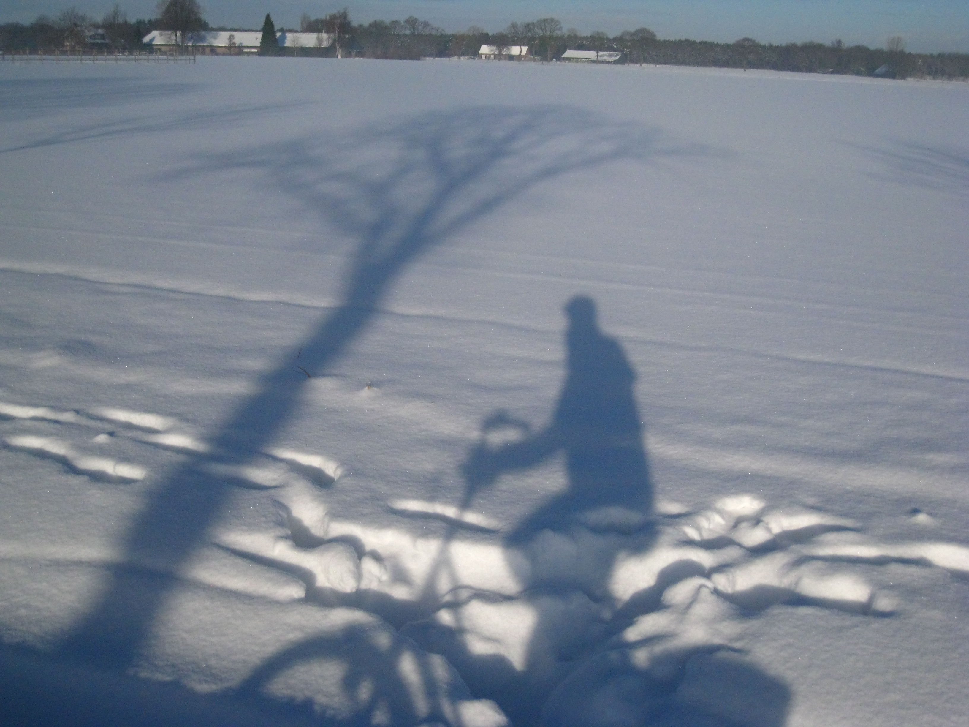 fietsen-door-een-sneeuwlandschap