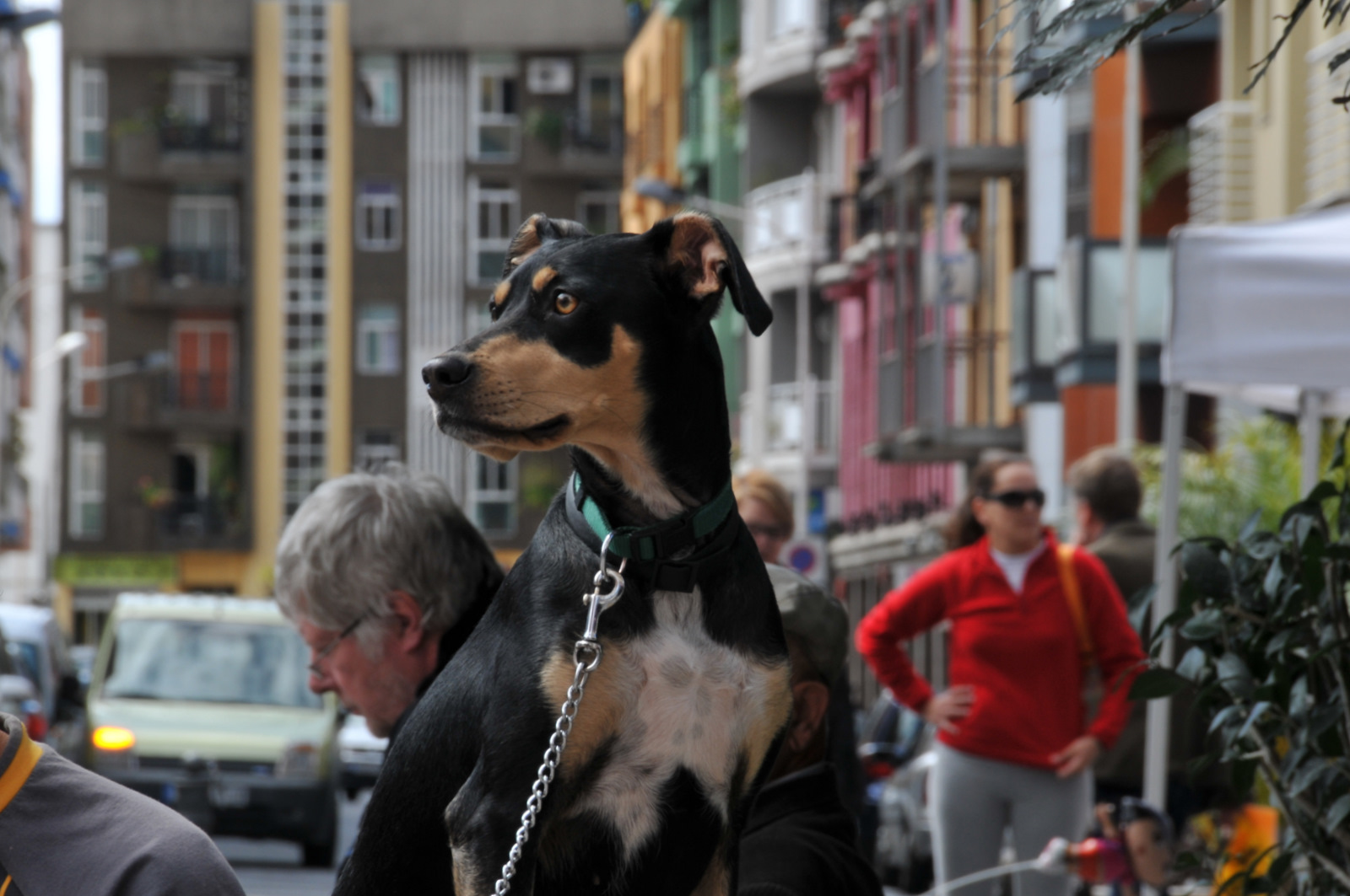 waar-blijft-het-vrouwtje-nou