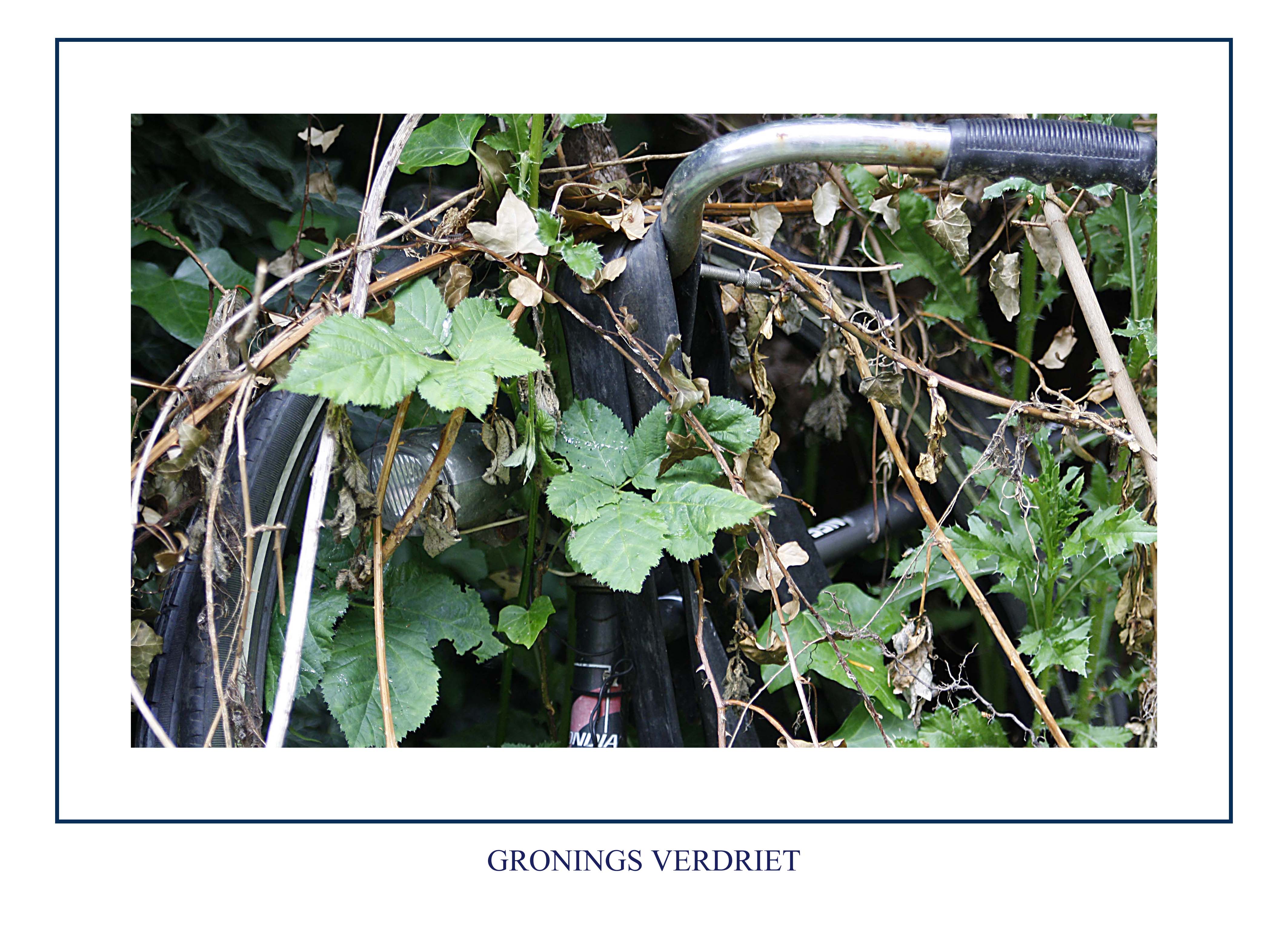 na-jaren-trouwe-dienst