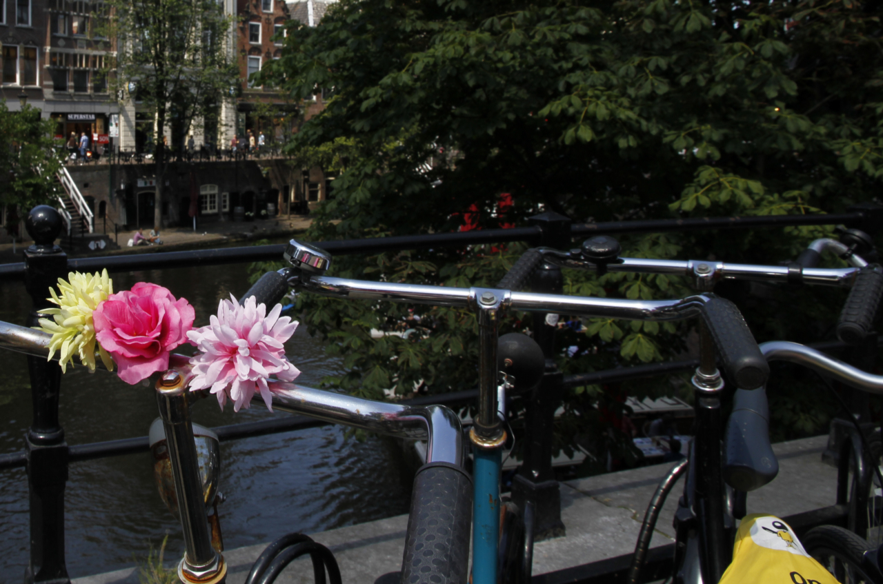 flowerbike