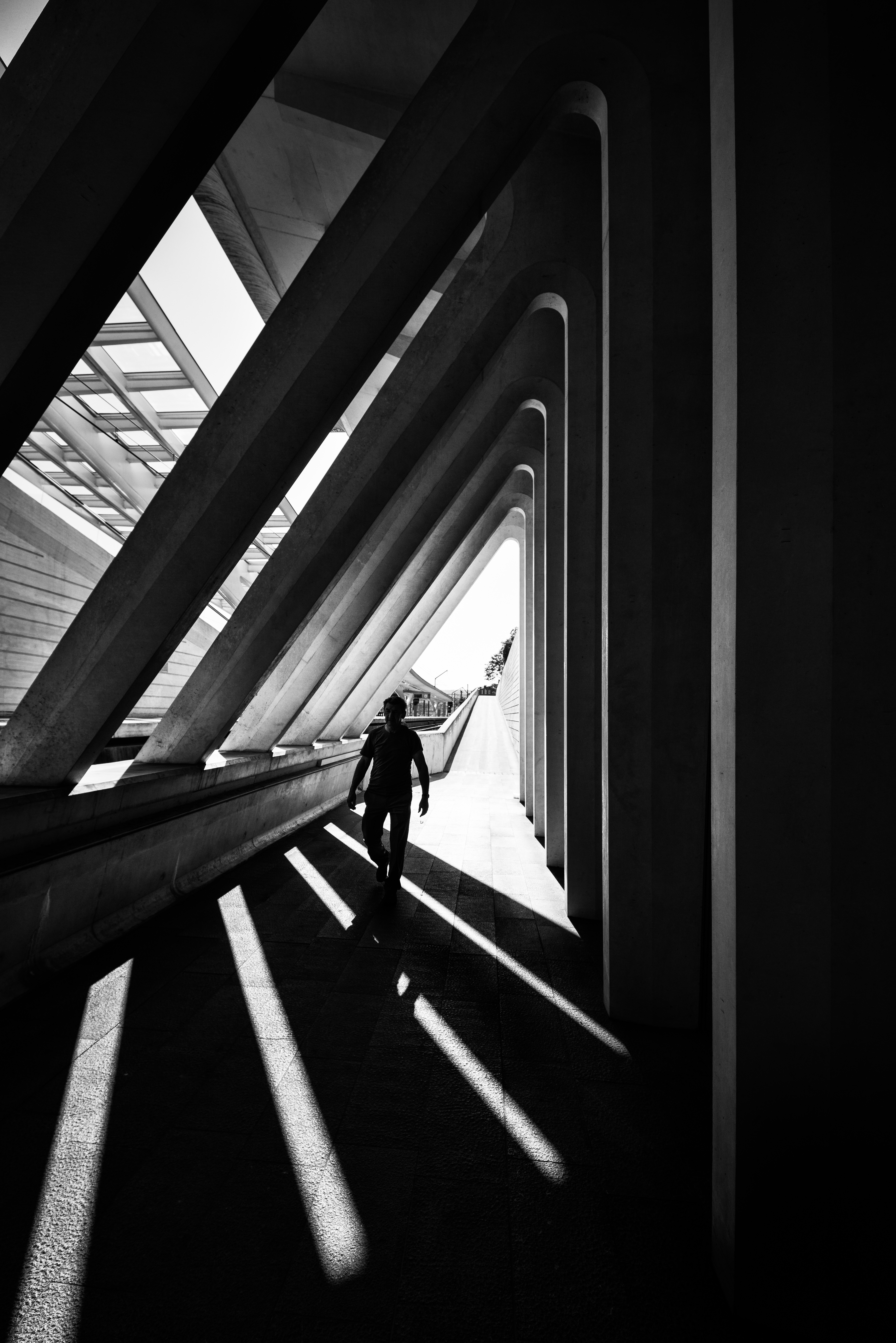 triangle-of-light
