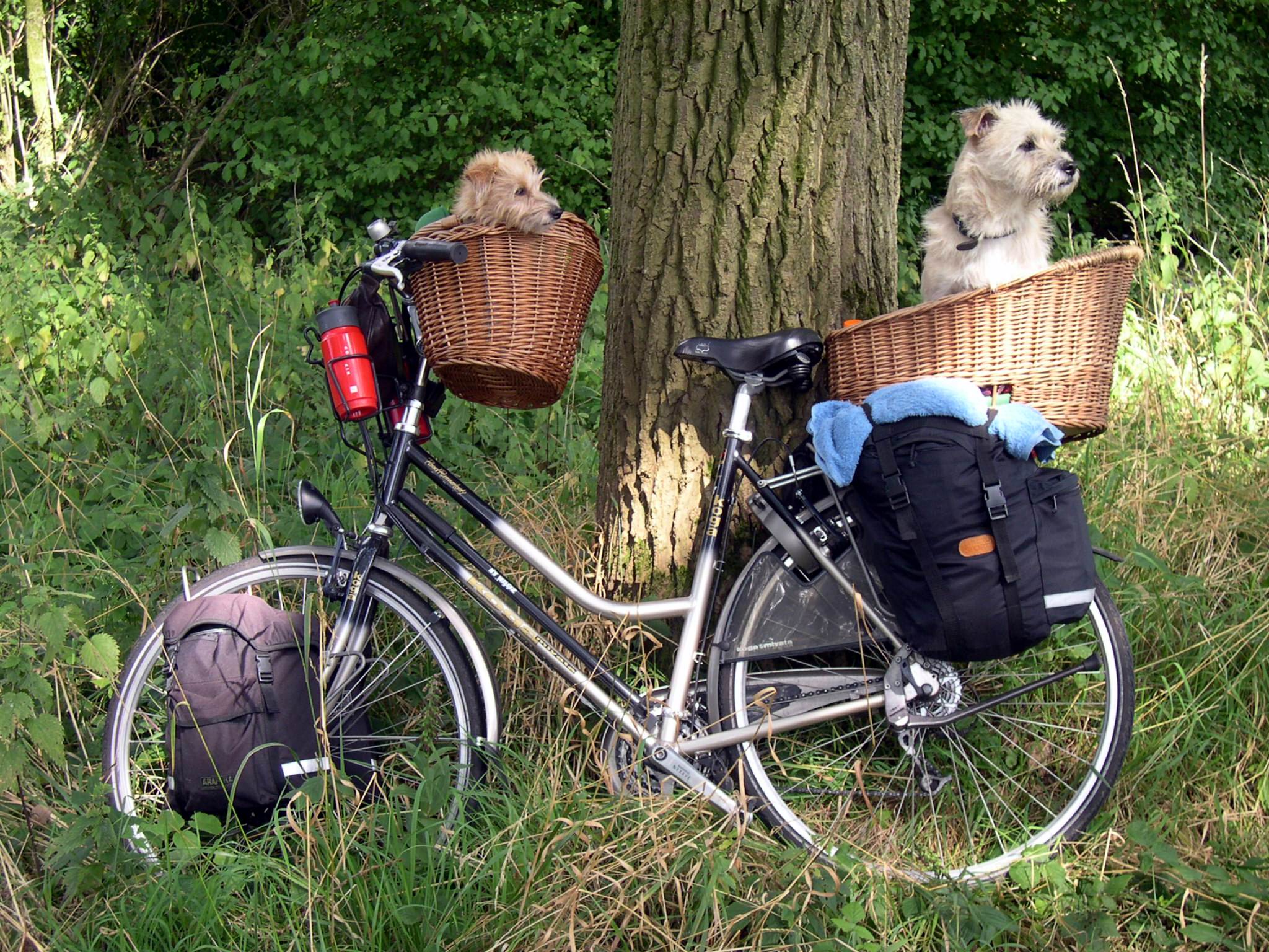 op-fiets-vakantie