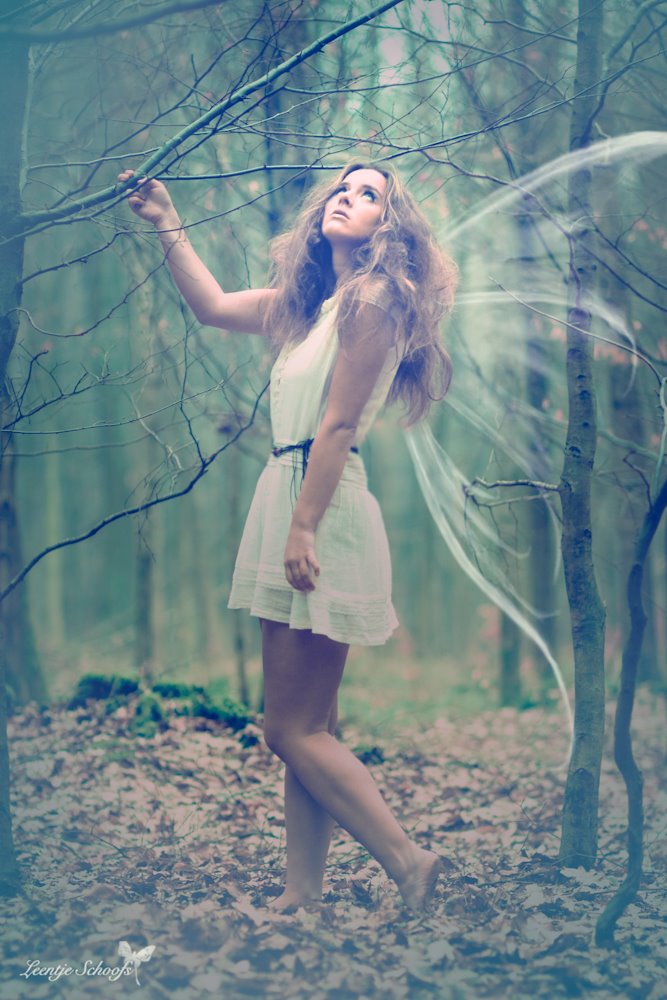 the-forest-fay-1