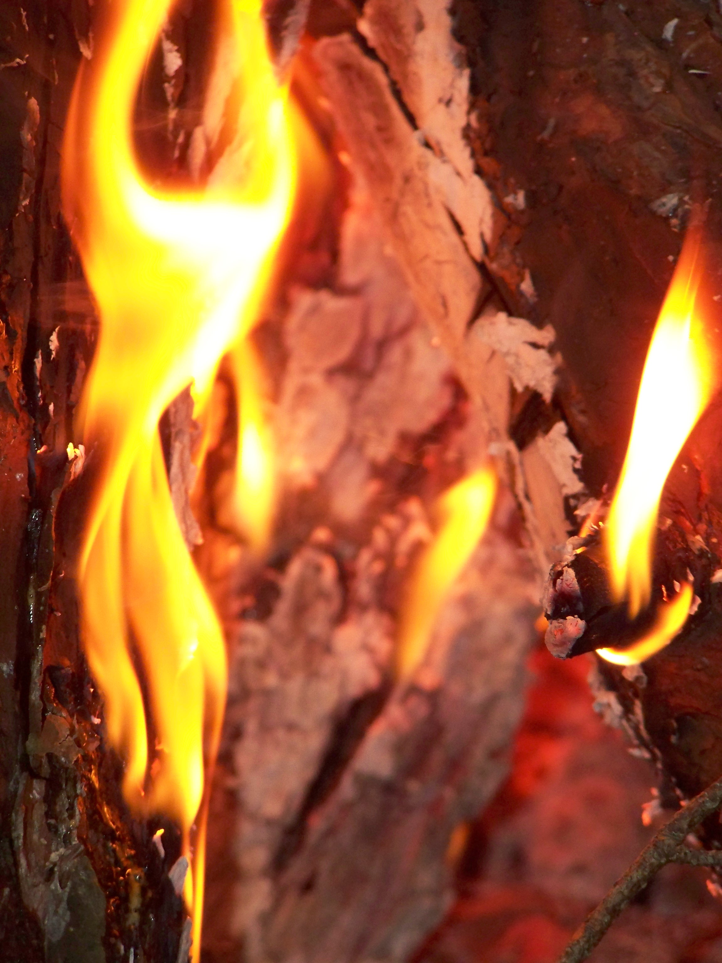 het-mooiste-licht-dat-er-is-vuur