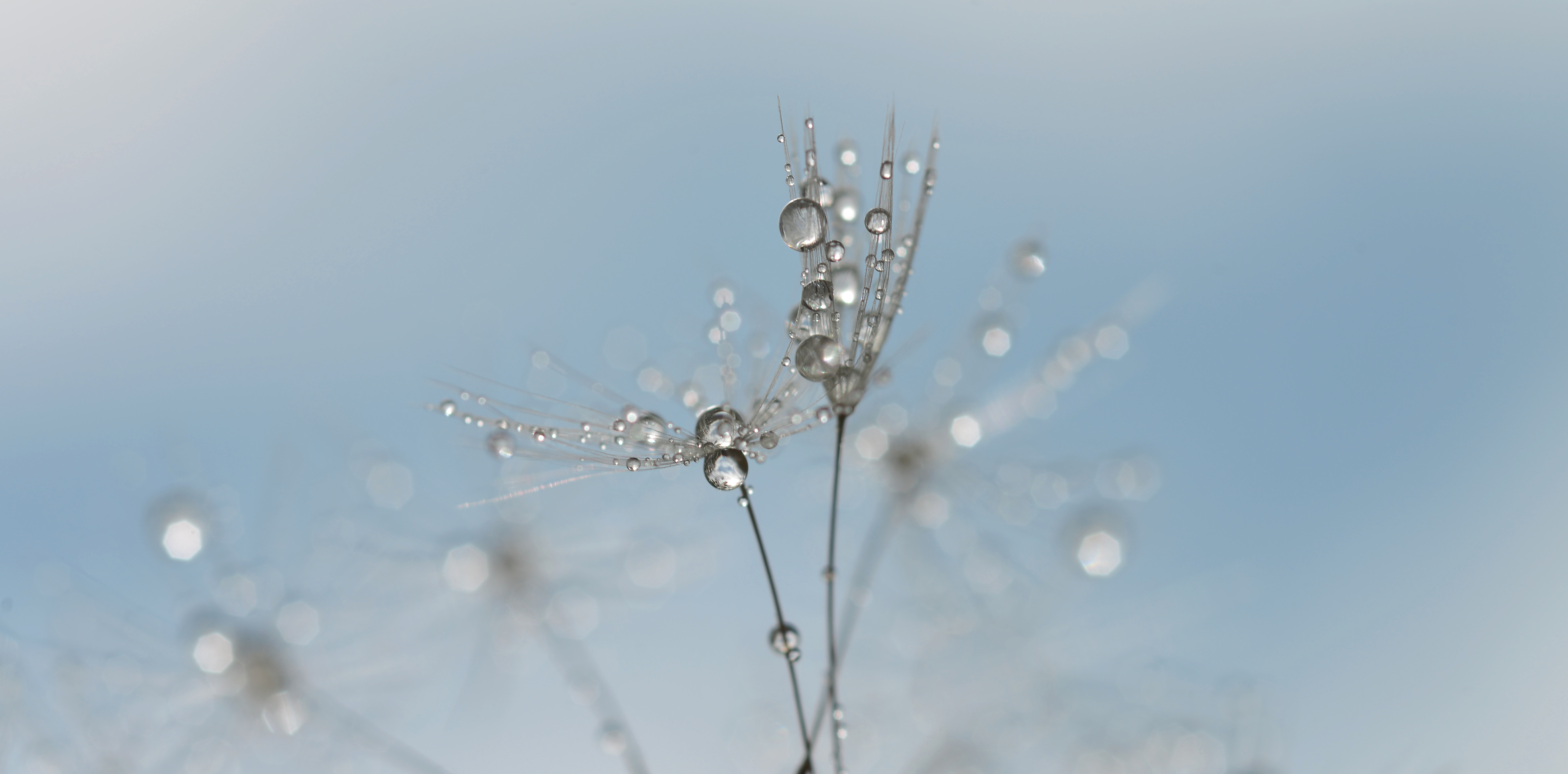 dancing-droplets