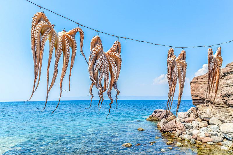calamari
