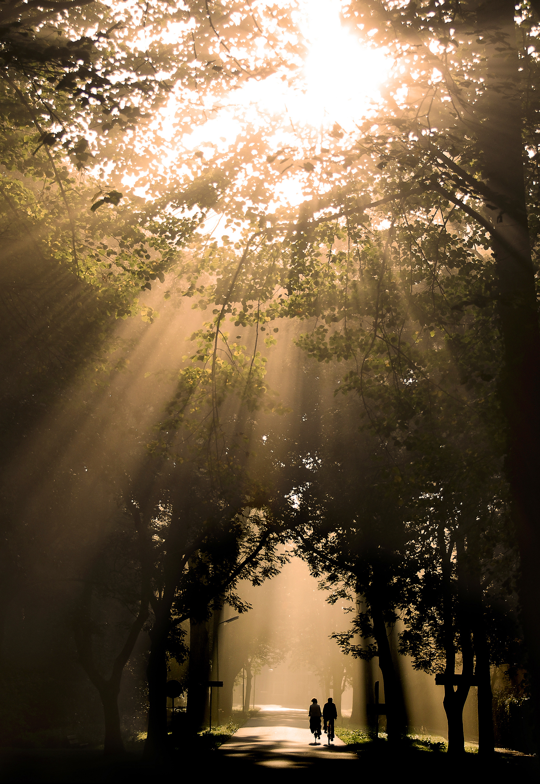 here-comes-the-sun-10