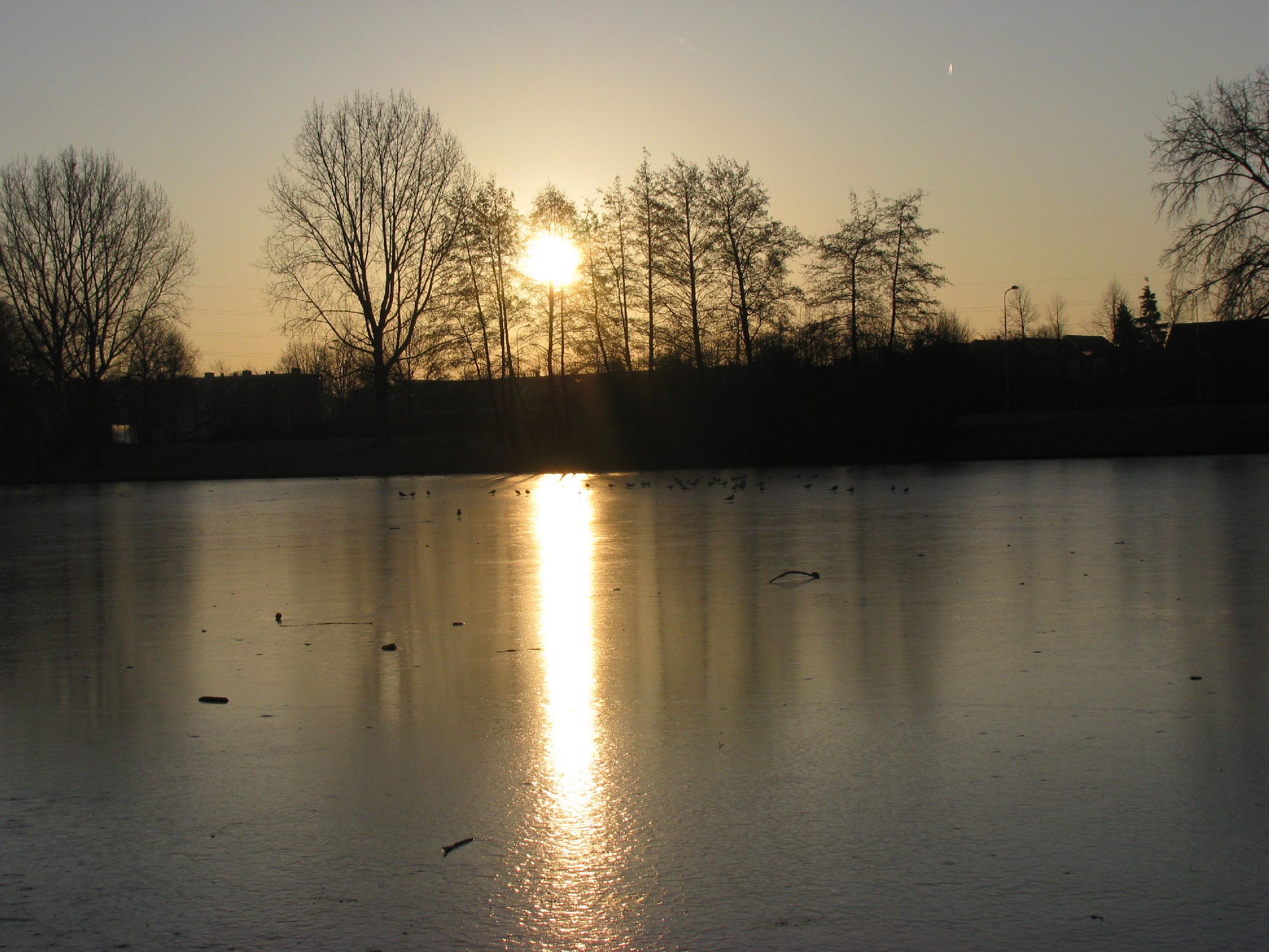 prachtige-ochtend-zon-beschijnt-een-lokale-plas-water