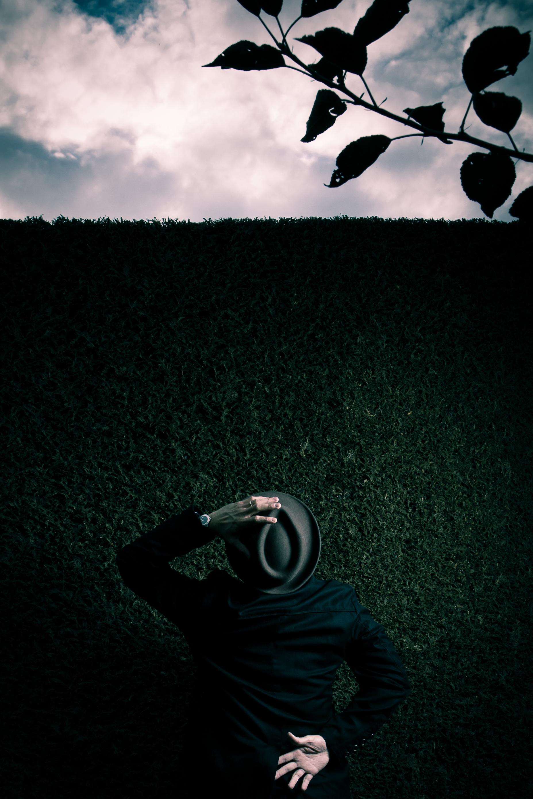 man-met-hoed-bij-heg