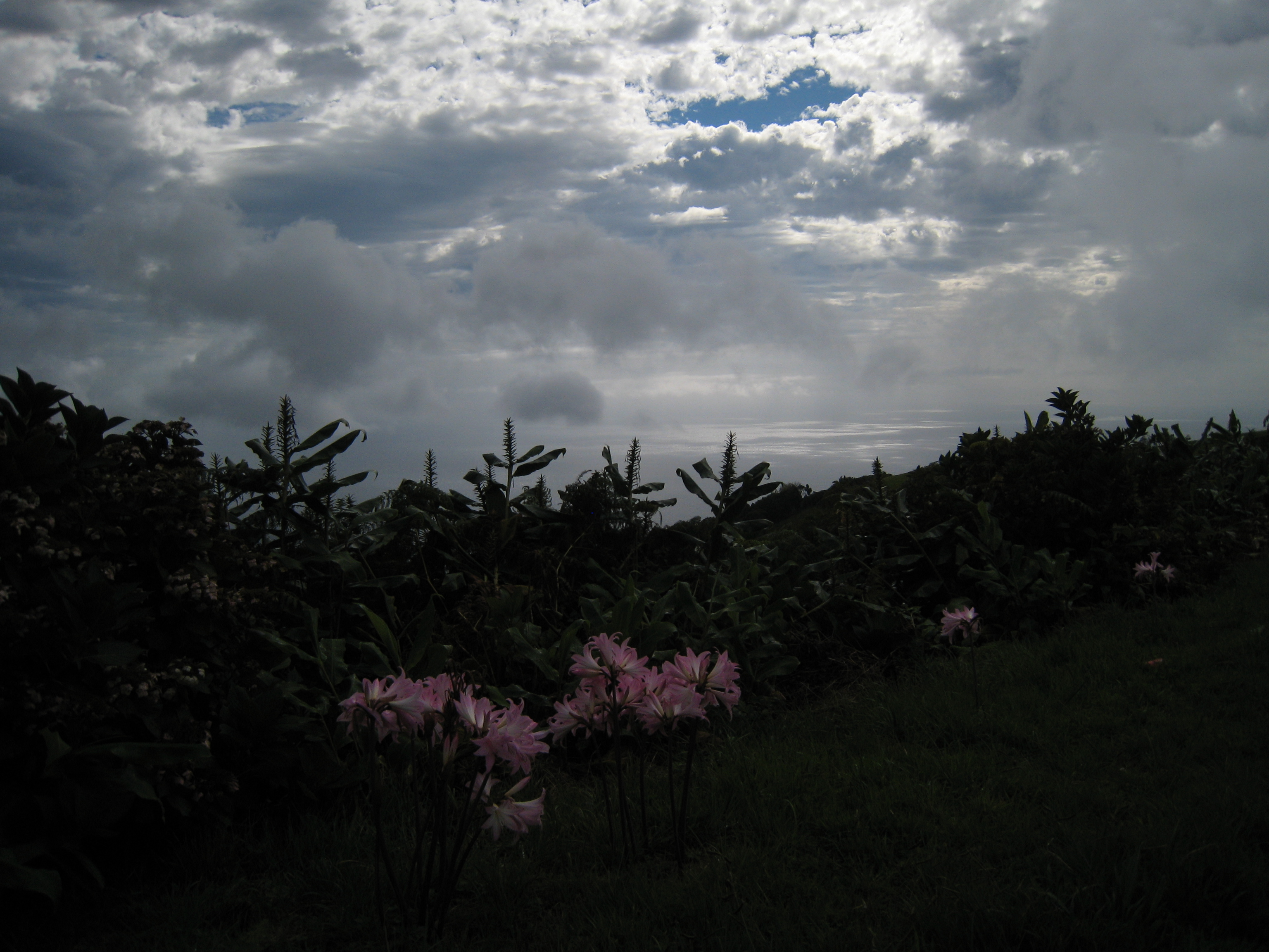 licht-in-de-duisternis-11