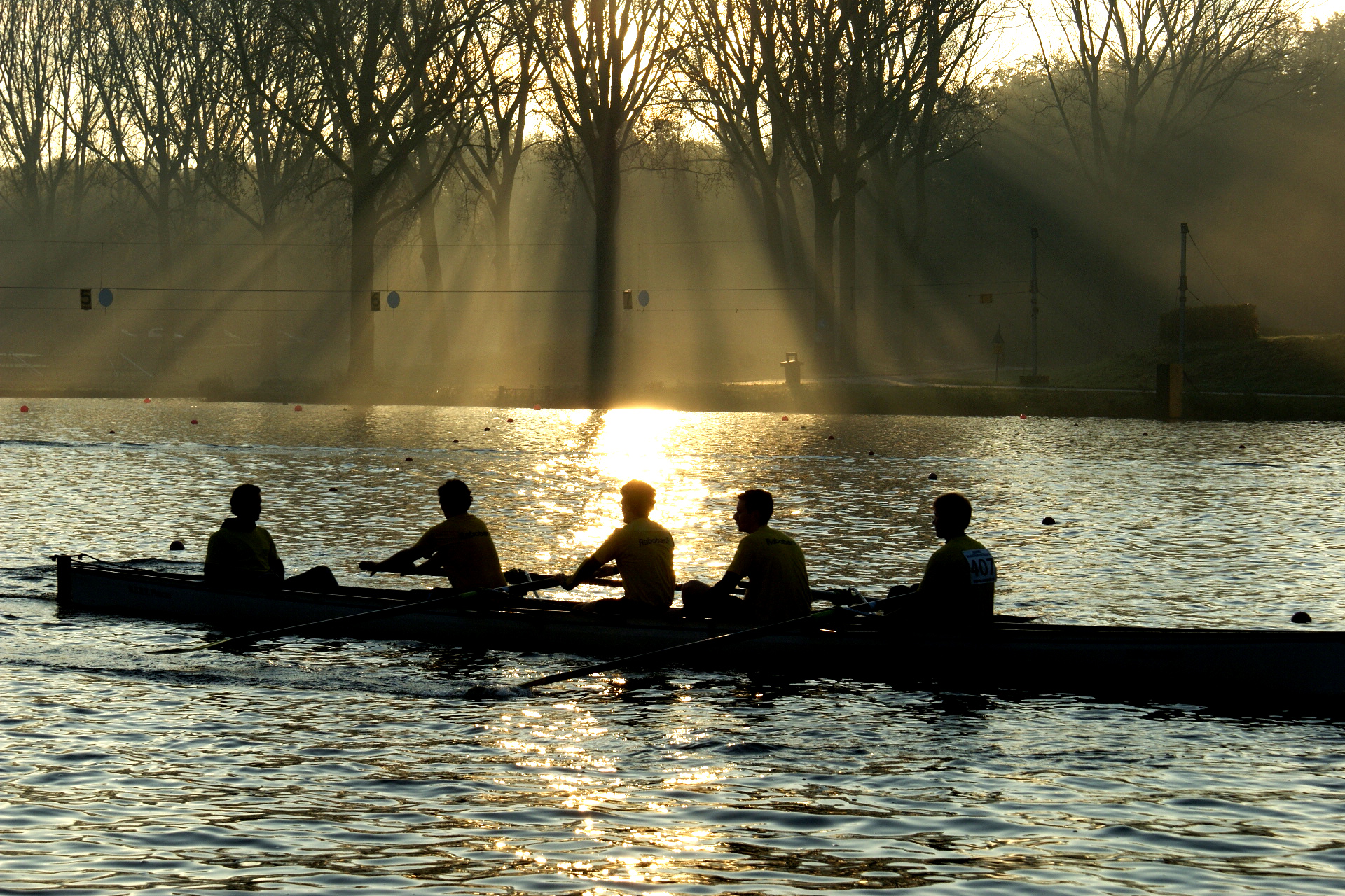 prachtig-herfstlicht-op-de-bosbaan-bij-het-roeien