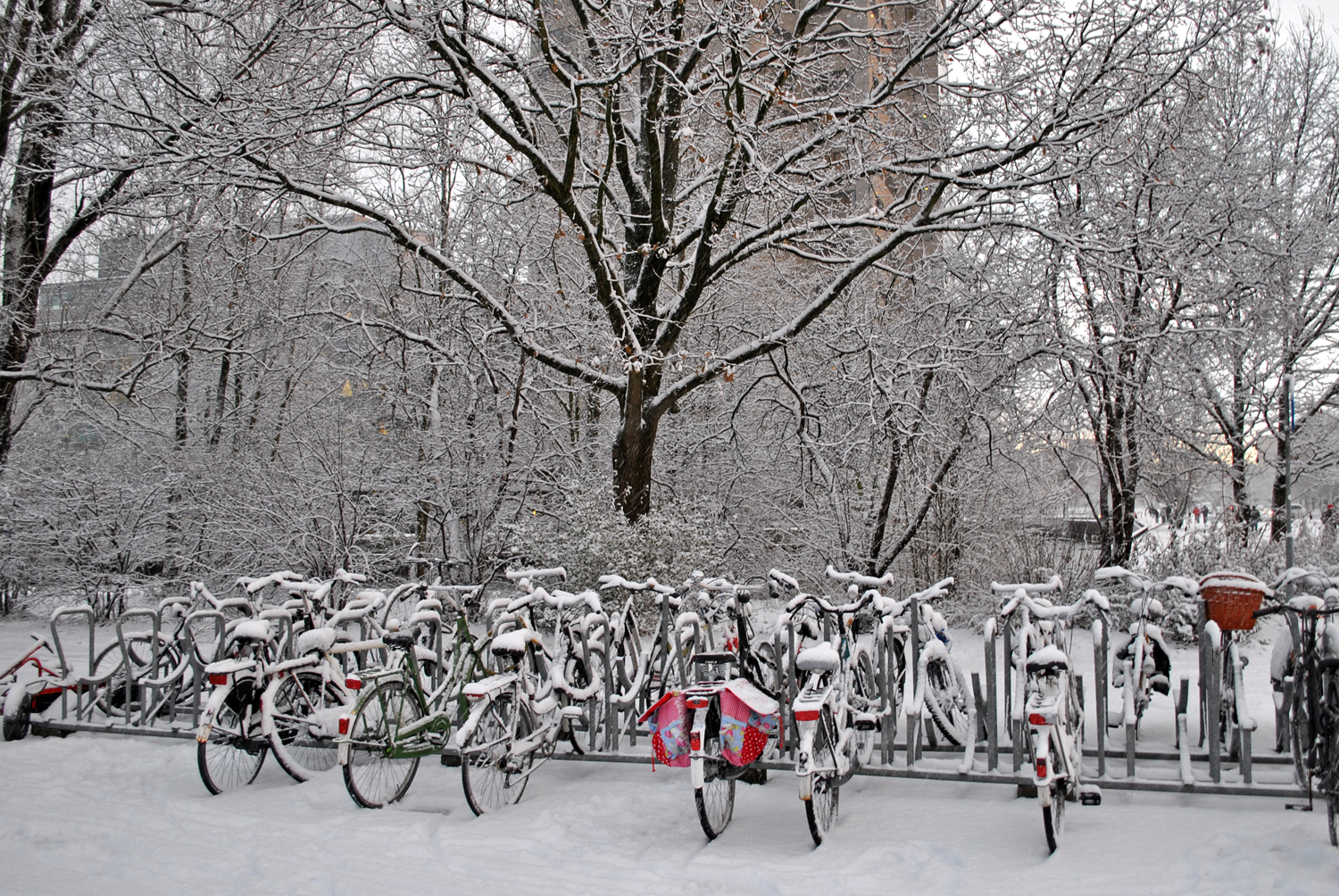 fietsen-in-de-sneeuw