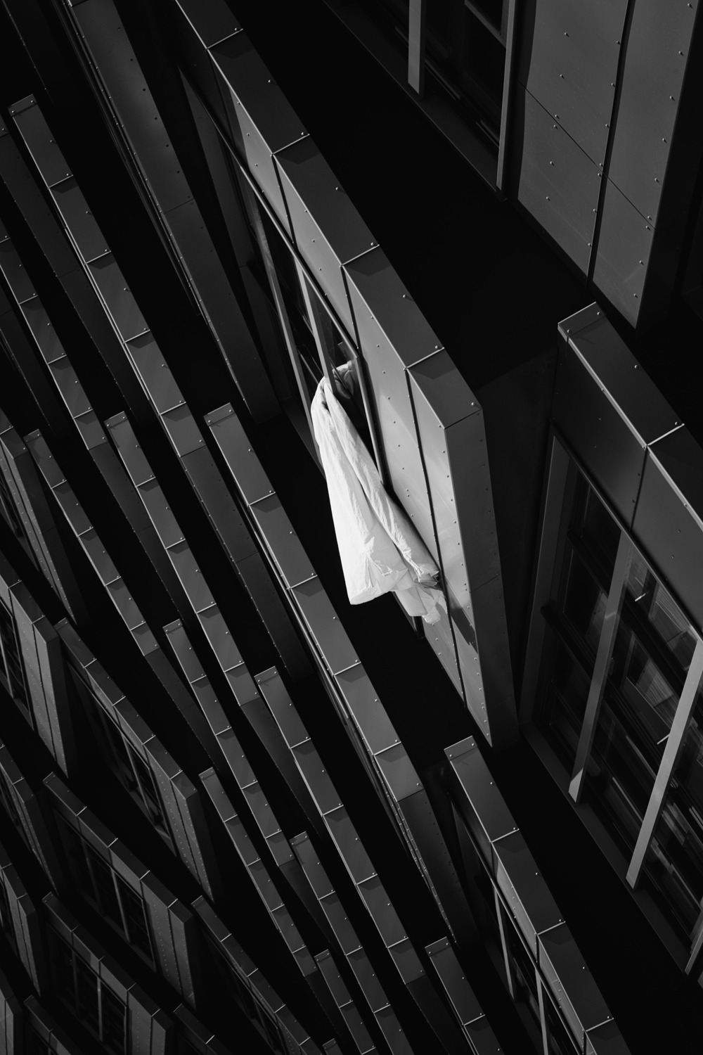 the-laundry