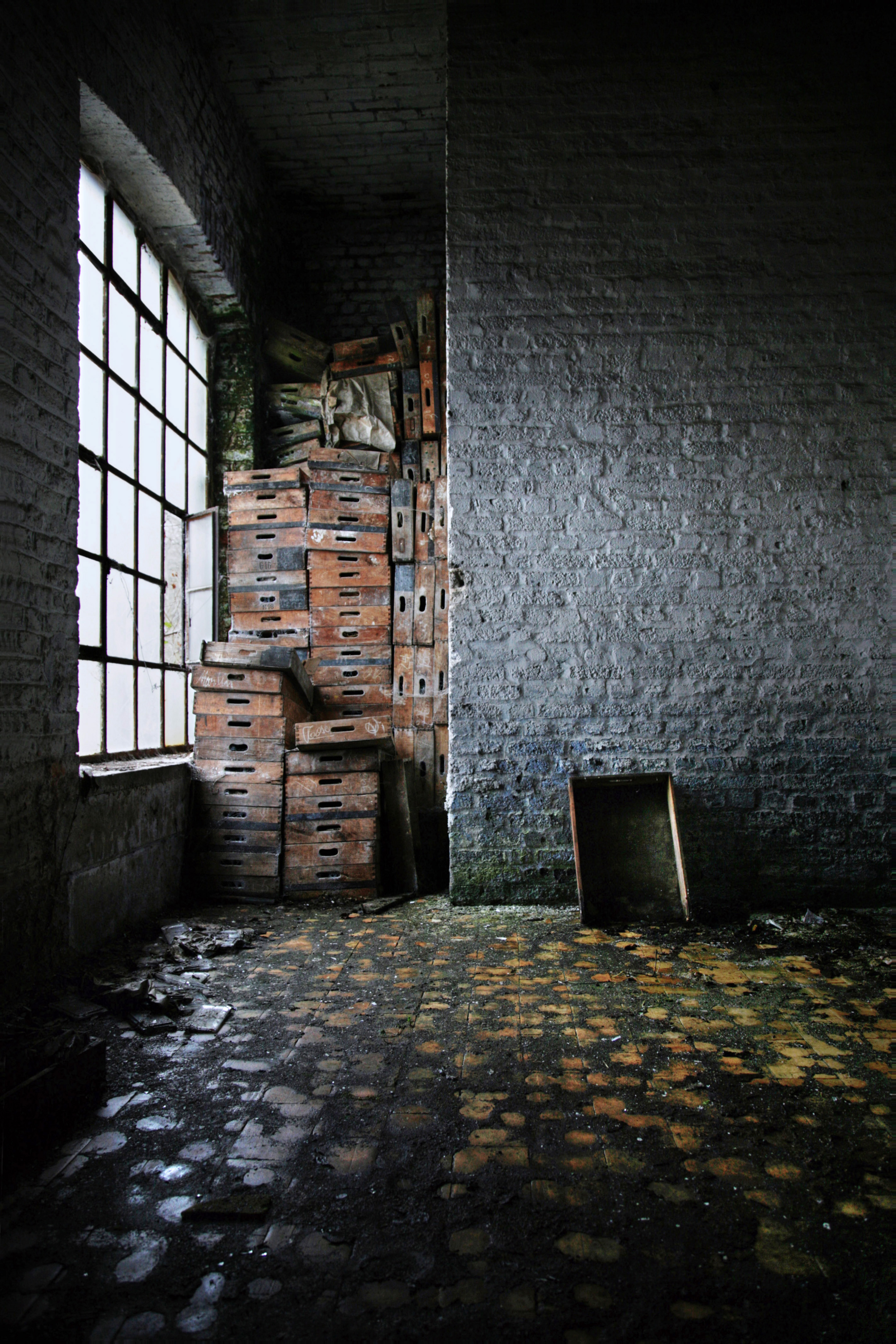 rise-above-your-equals