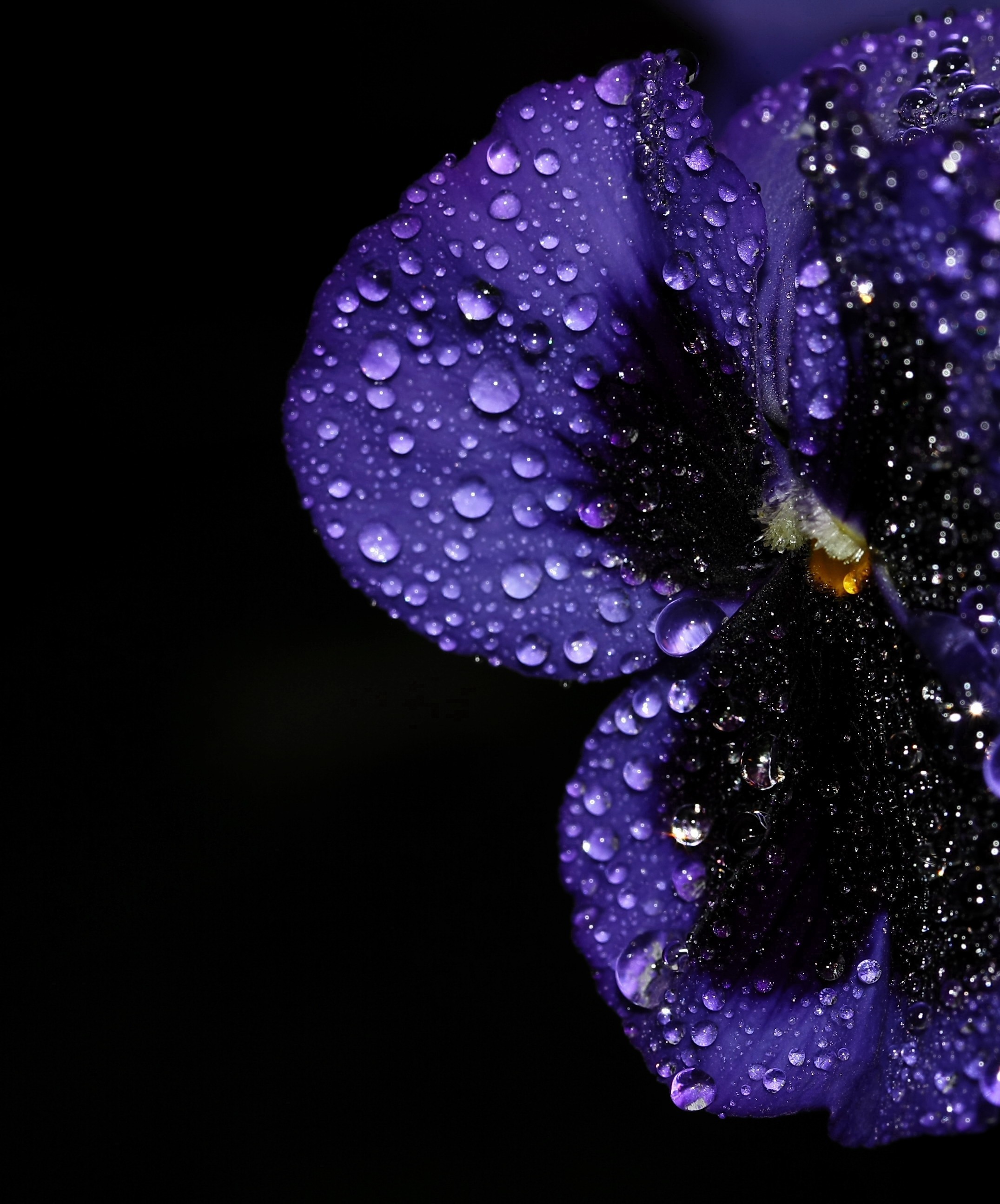 na-een-forse-regenbui