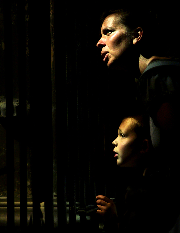 a-glimpse-of-the-mystery