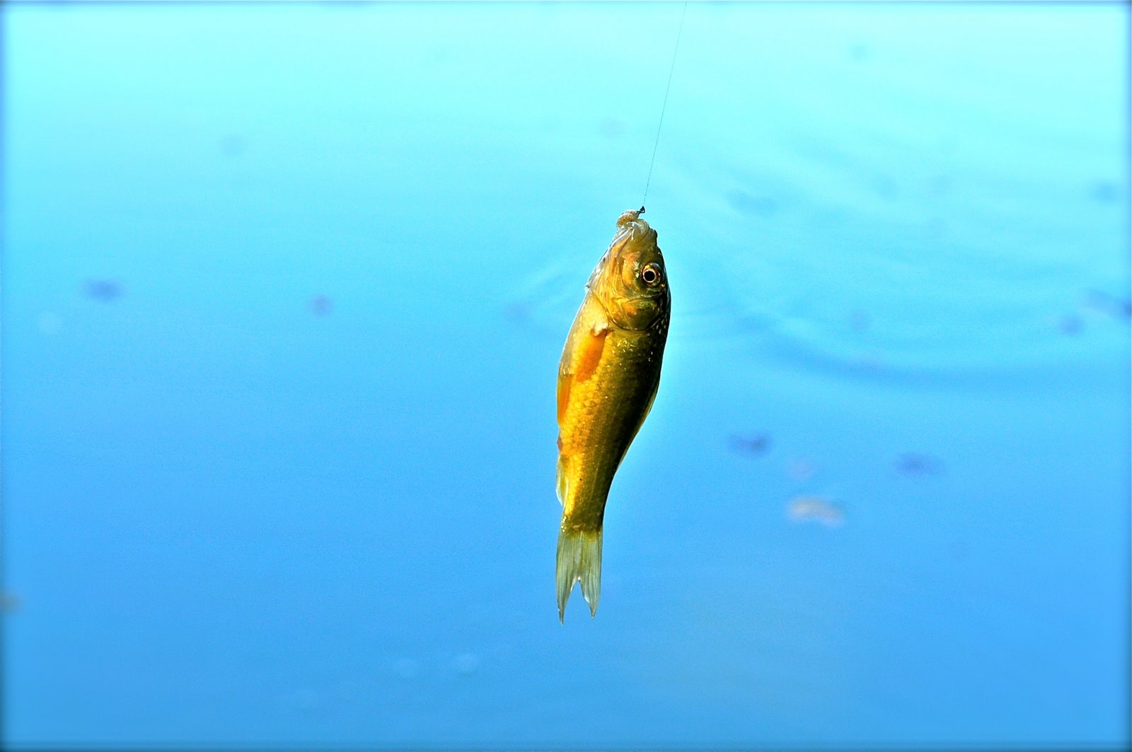 the-world-from-another-view