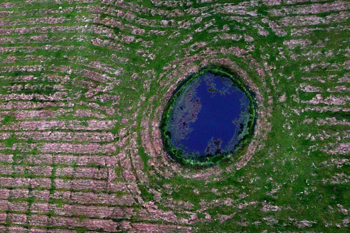 wereld-van-water-in-een-weiland