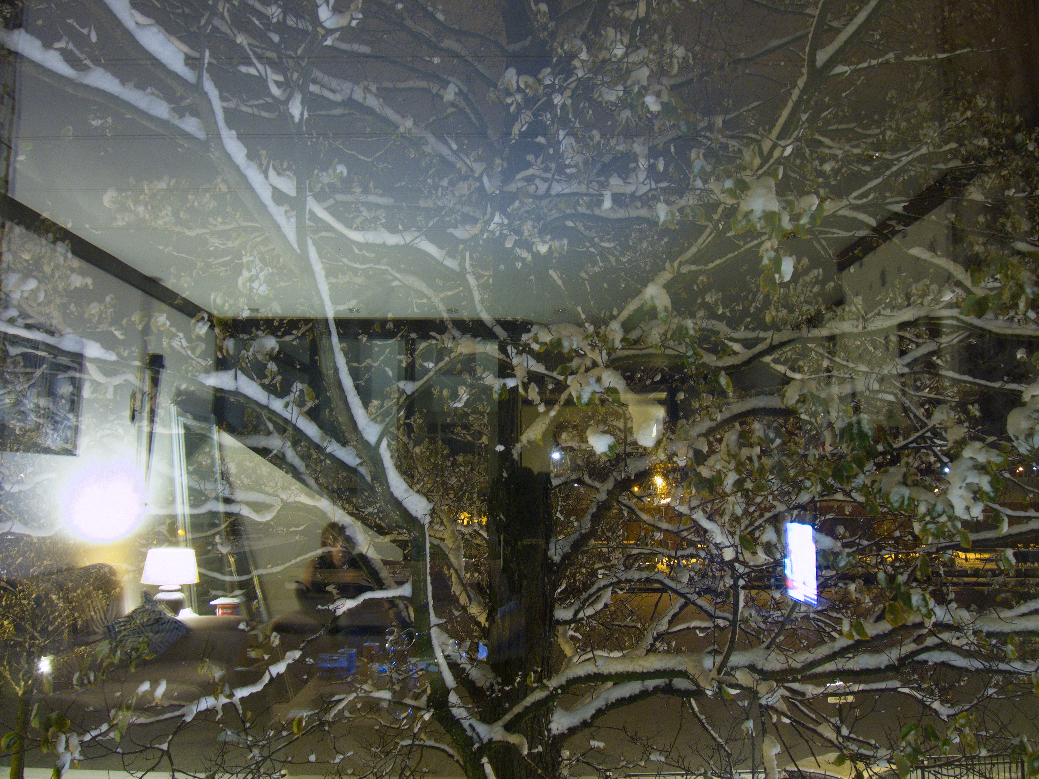 outside-looking-in-or