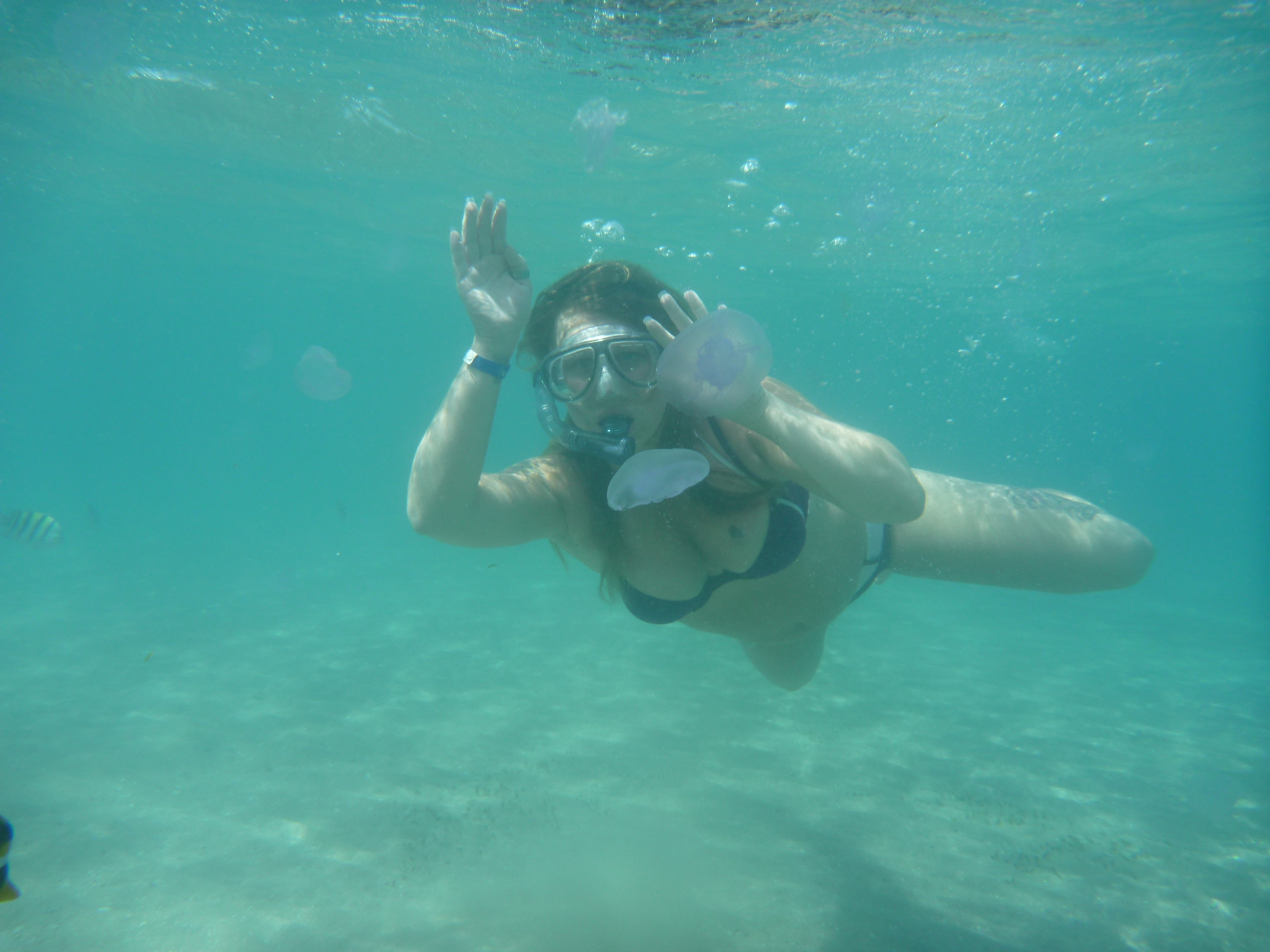 kwalletjespas-geboren