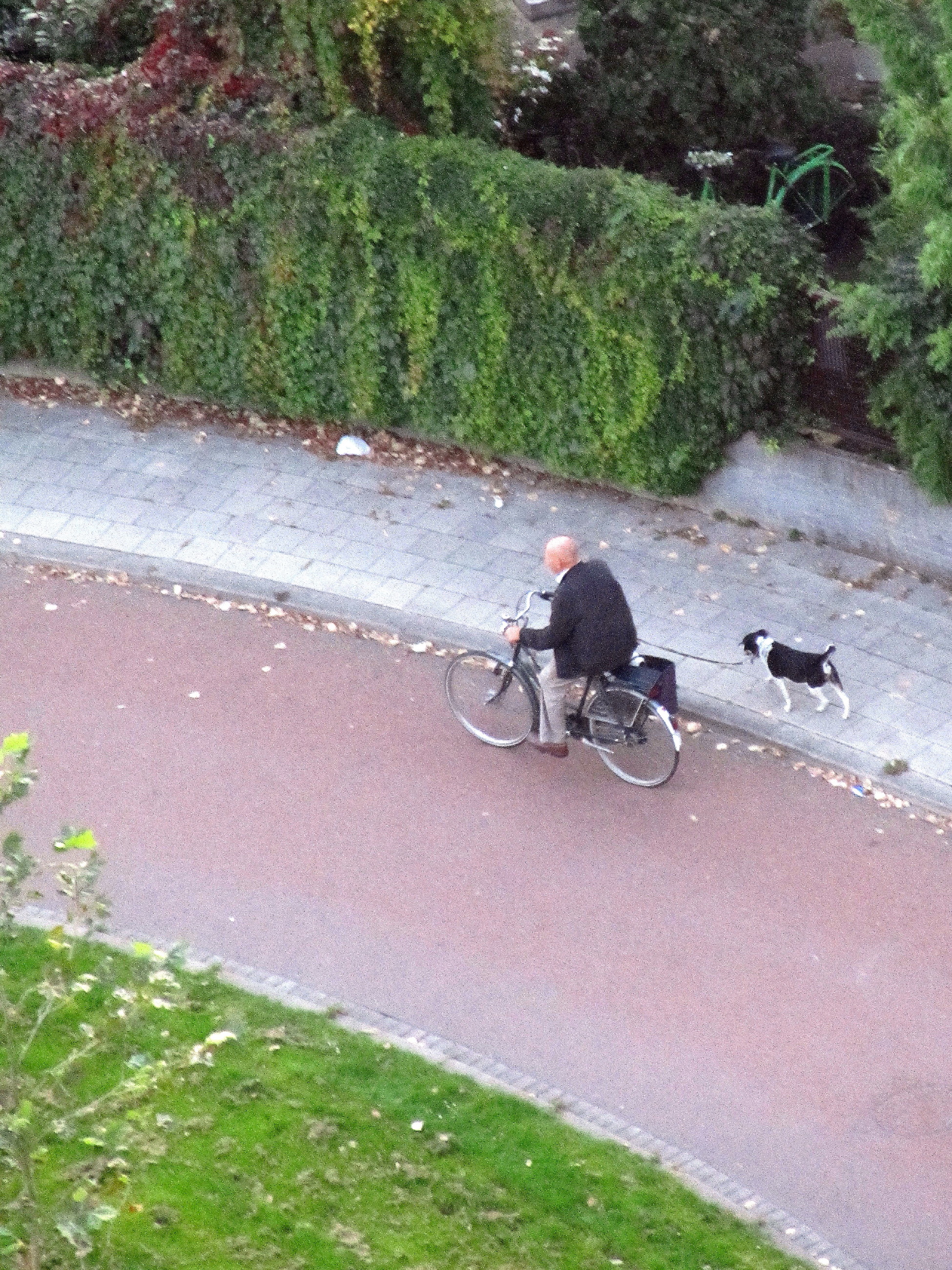fietsend-de-hond-uitlaten