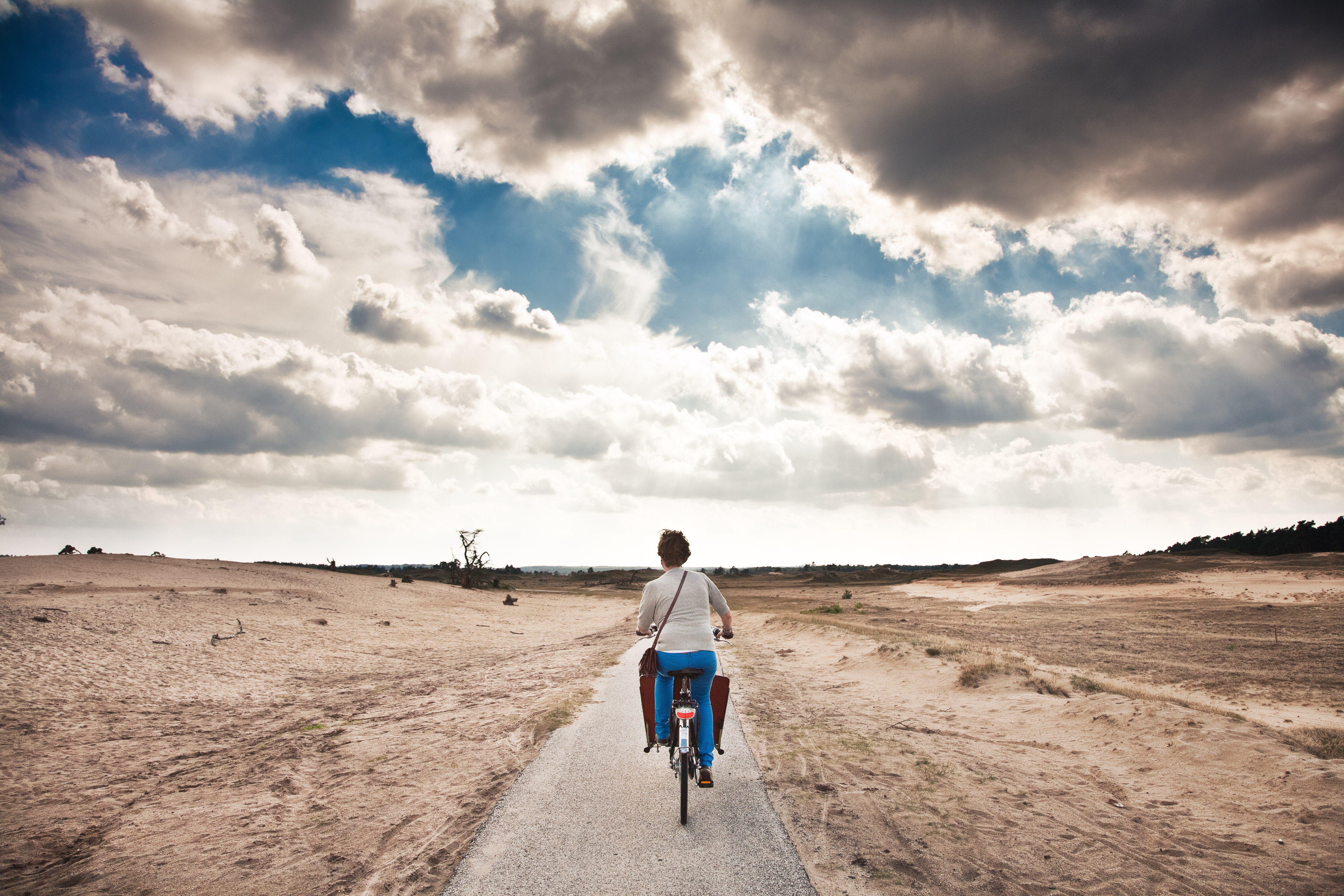 bakfietsen-op-de-veluwe