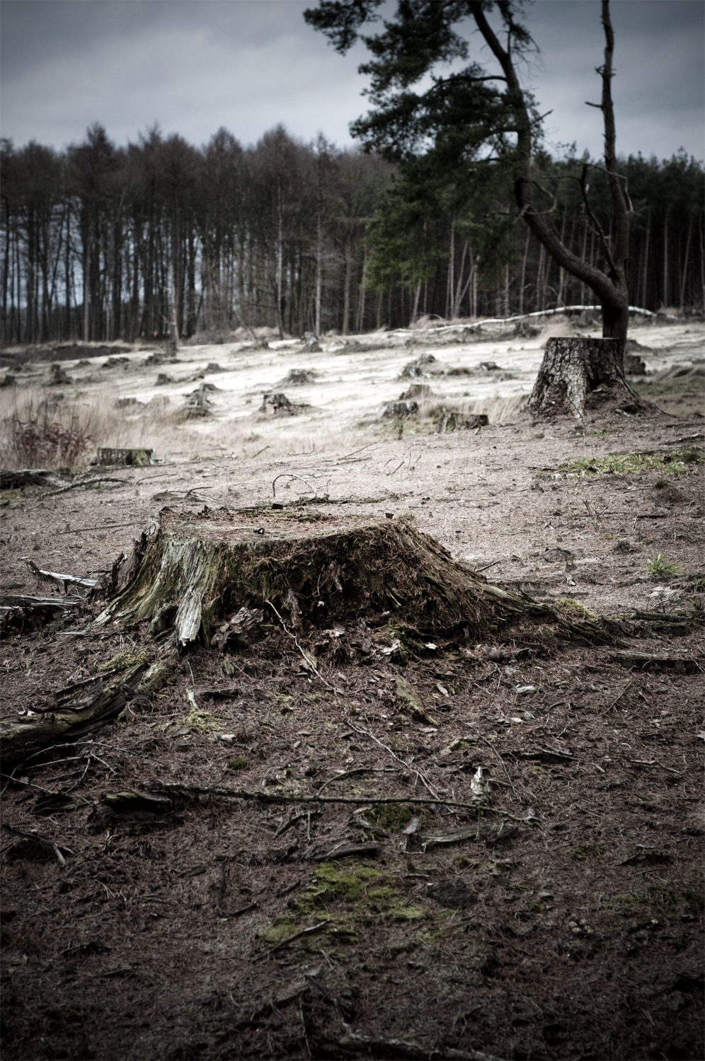 this-becomes-a-part-of-me