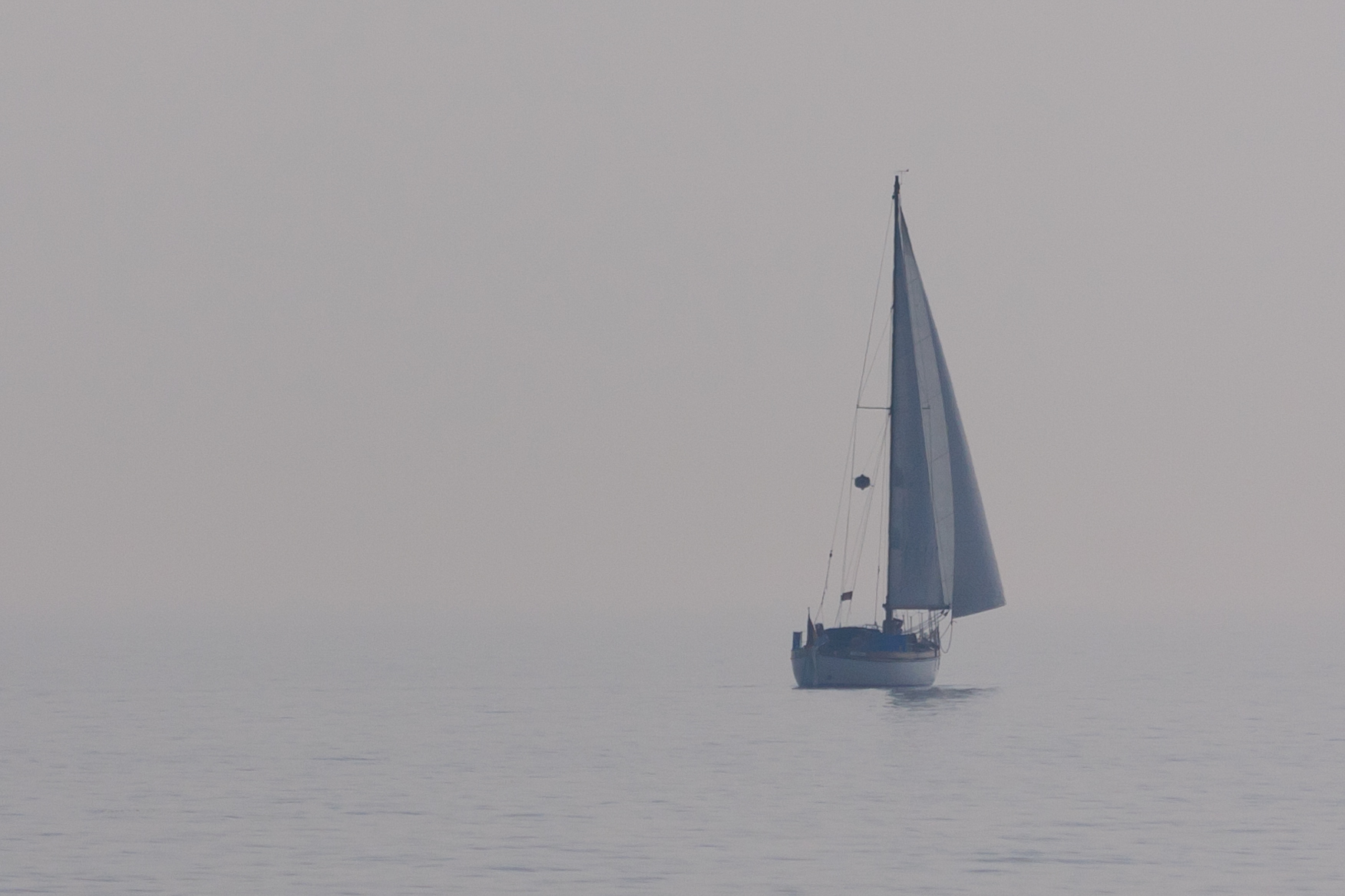 wijdbeens-met-de-ogen-op-de-kim