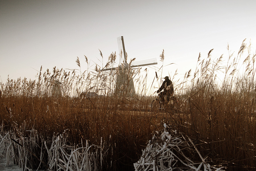 polder-in-winterslaap