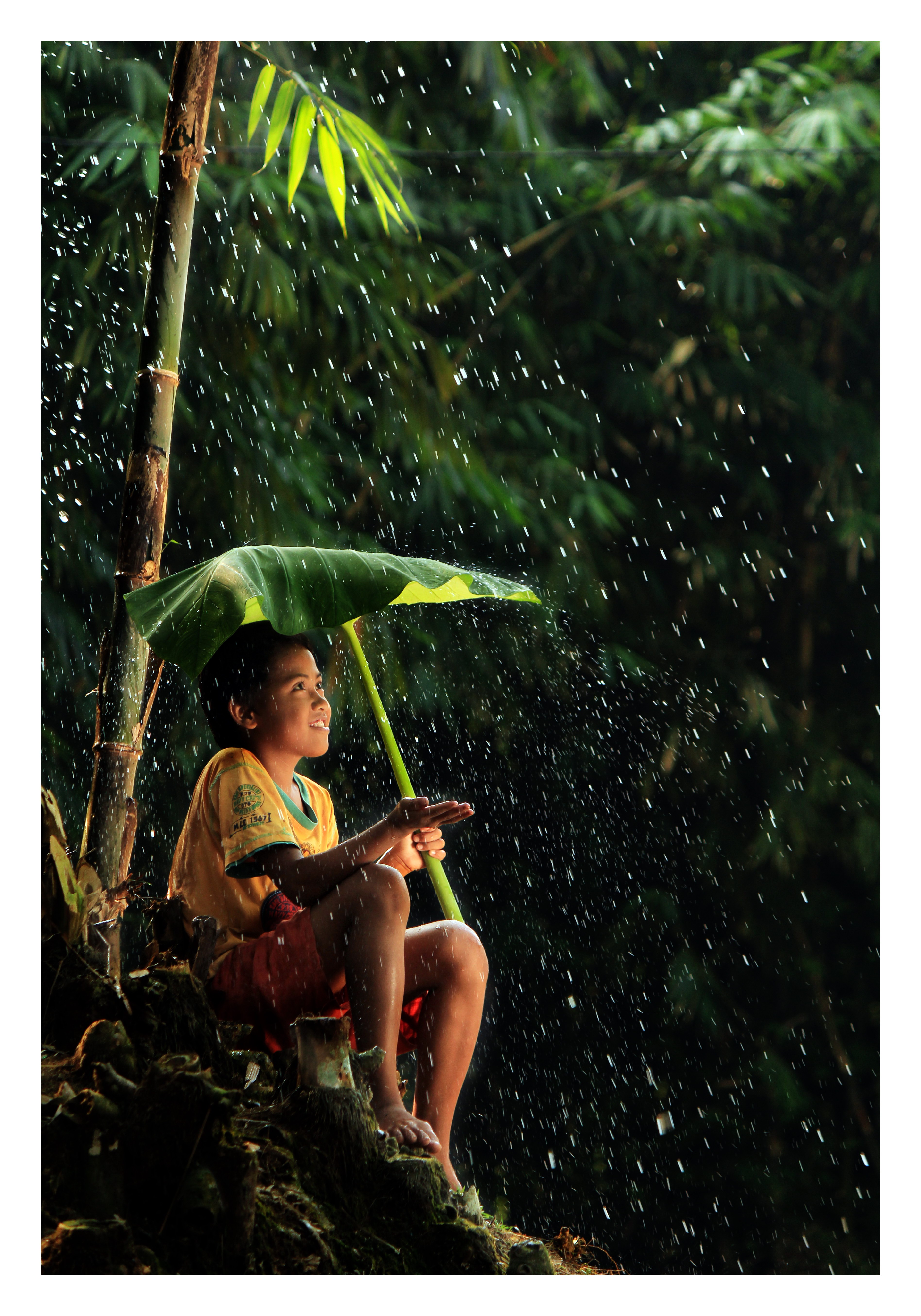 raindrops-keep-falling-on-my-leaf