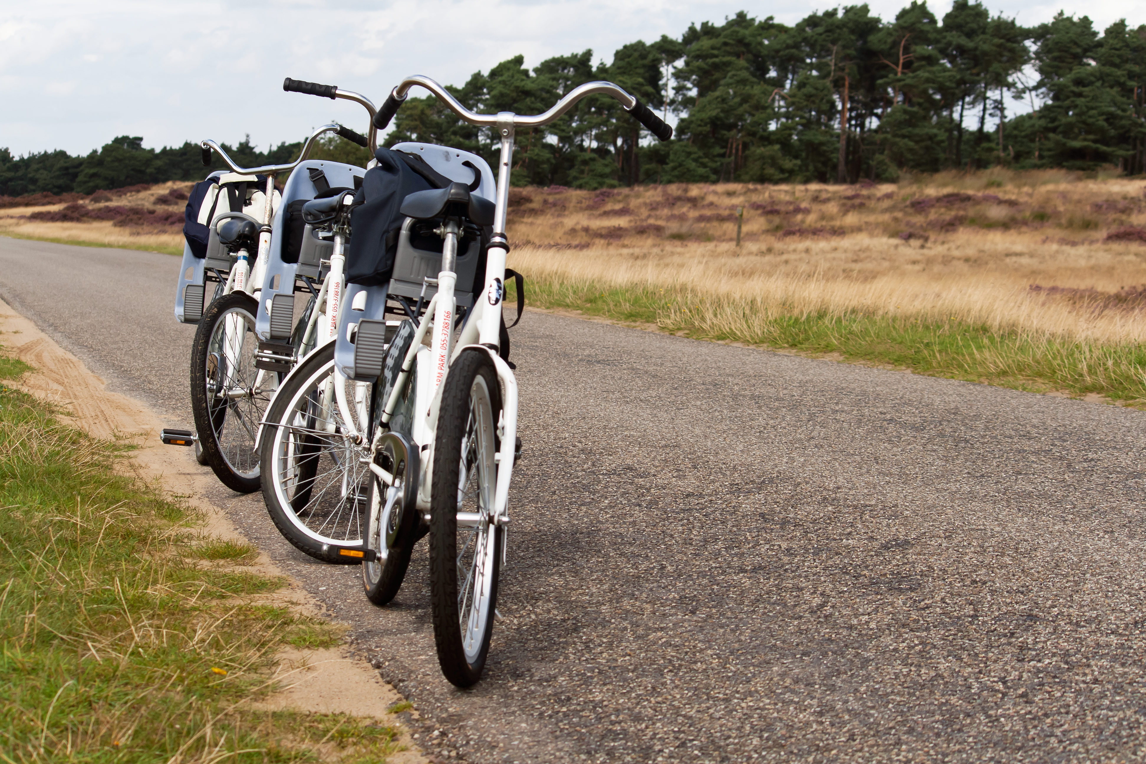 fietsen-op-de-hoge-veluwe